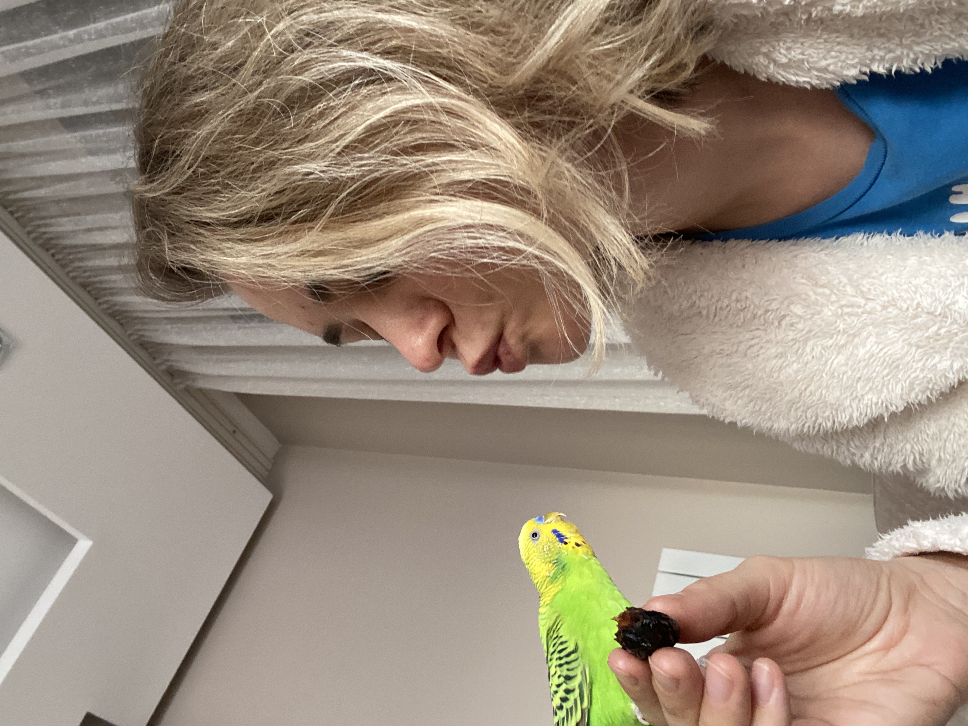 image-11