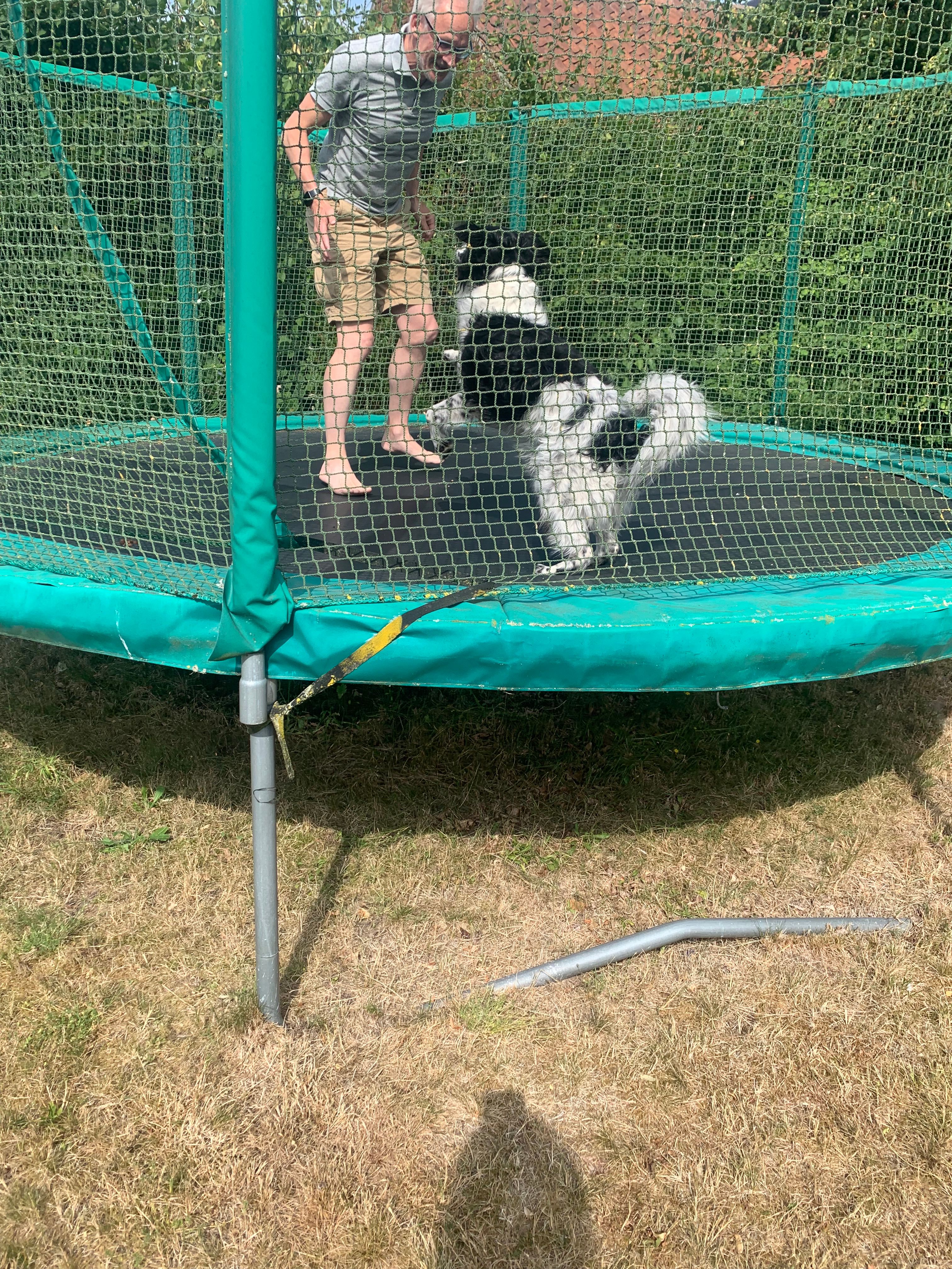image-14
