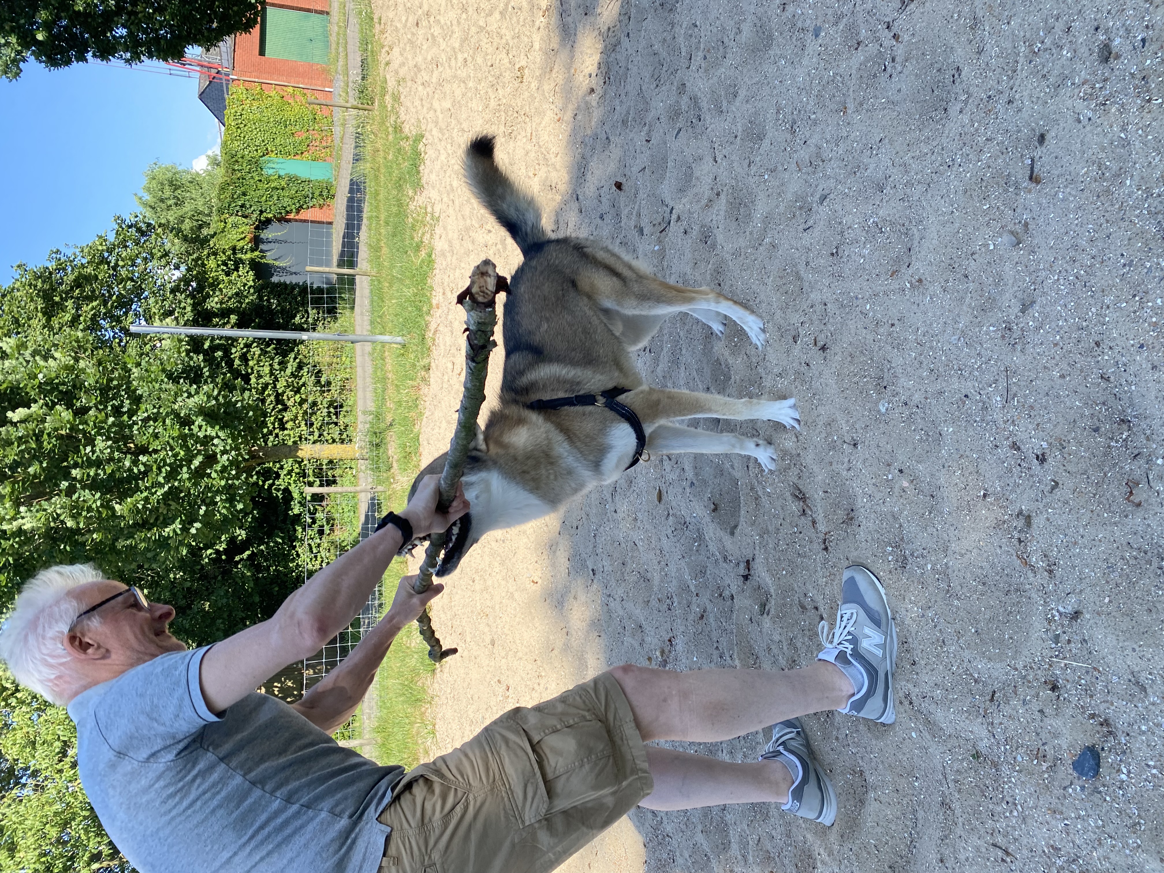 image-17