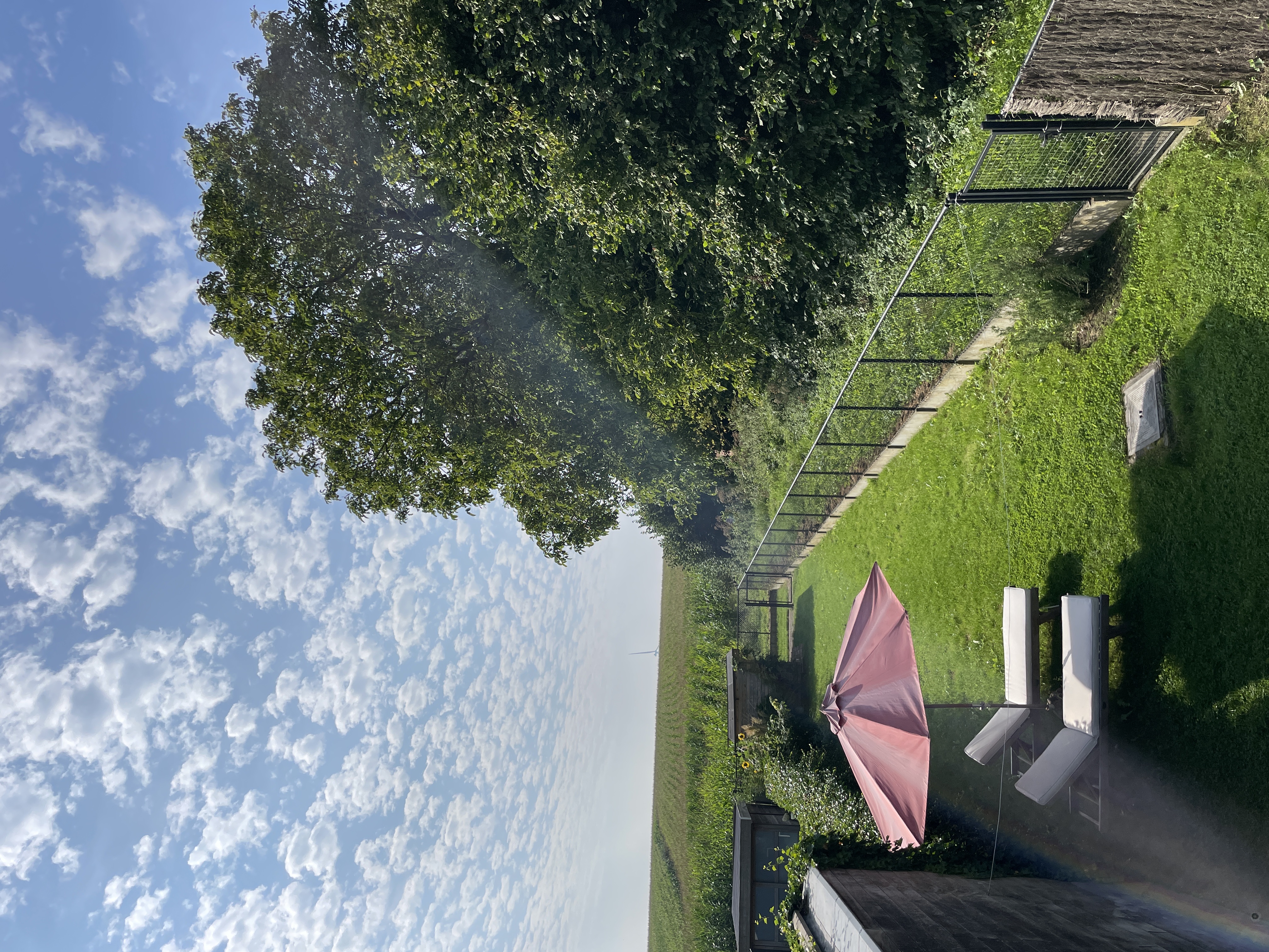 image-17