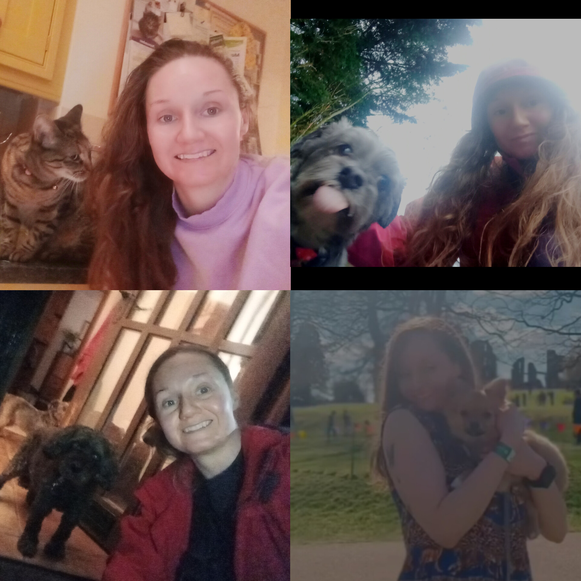 image-14