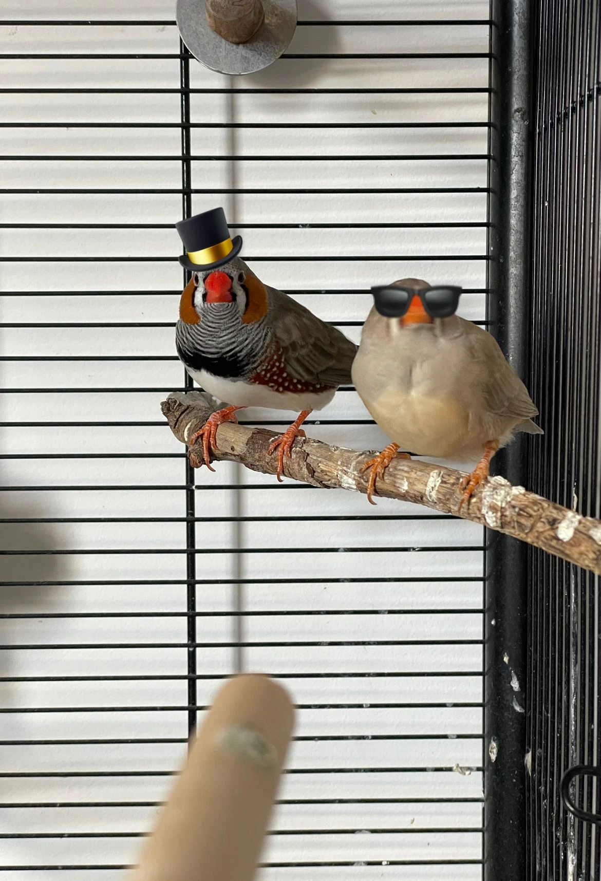 image-6