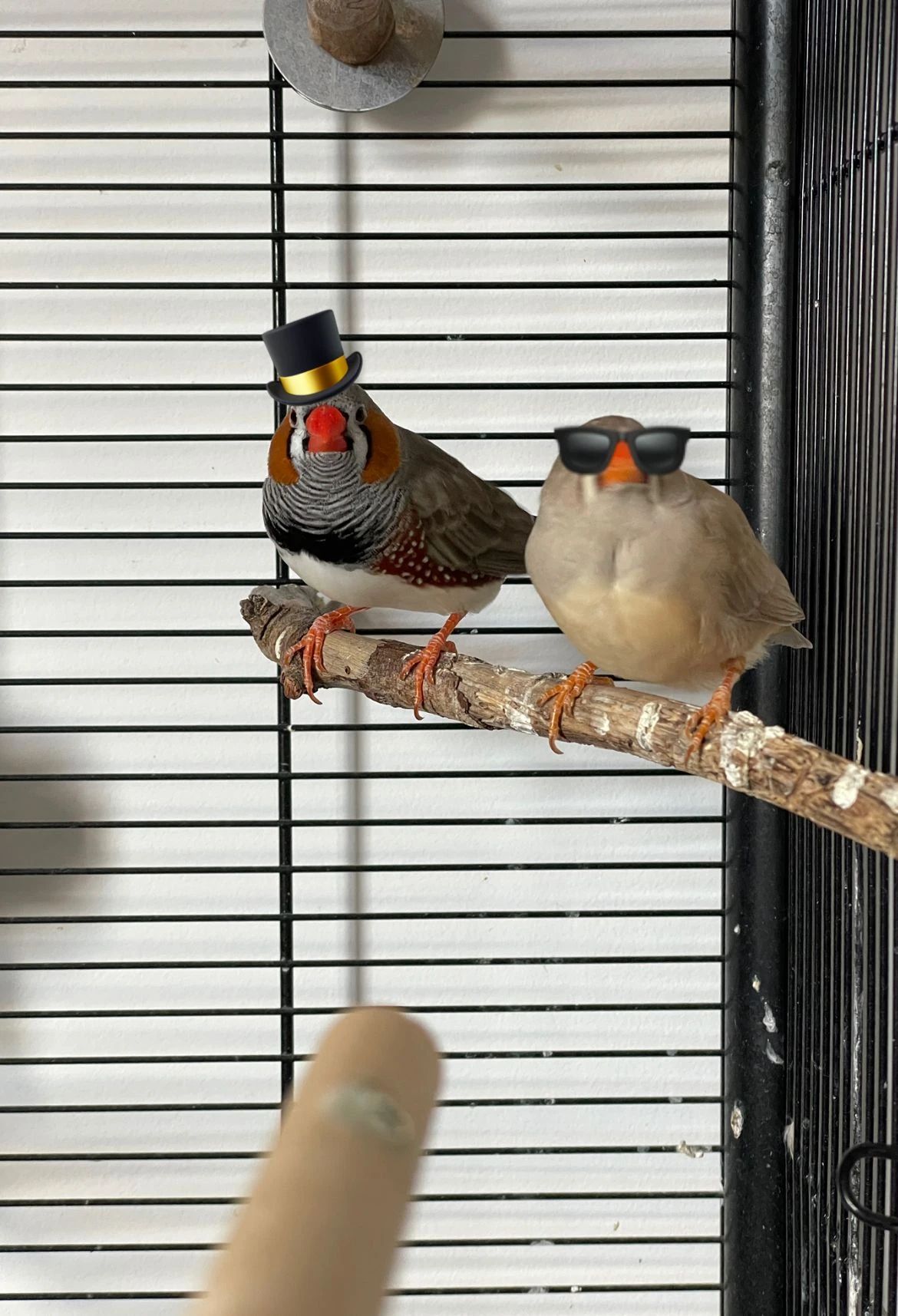 image-6