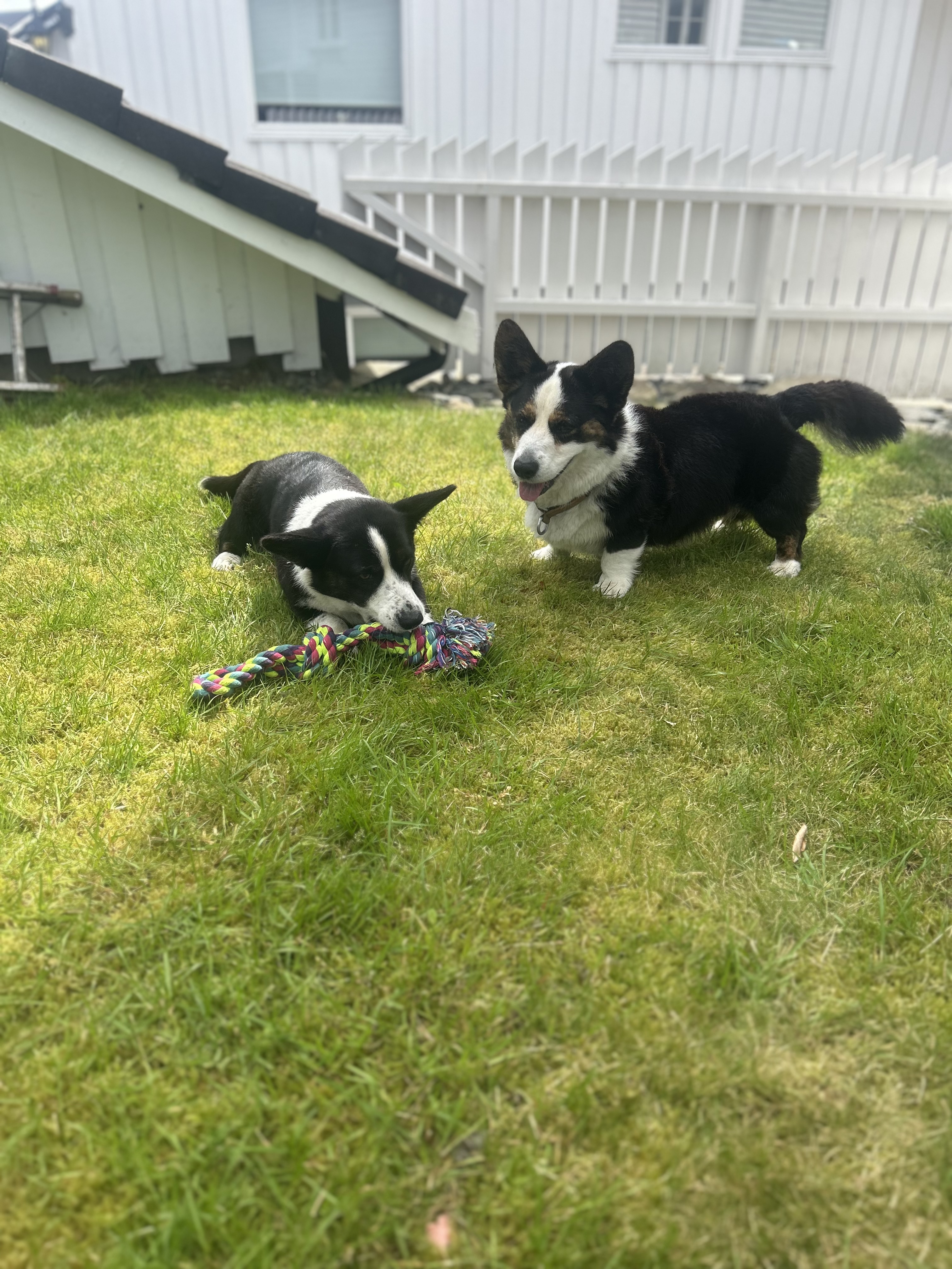 image-11