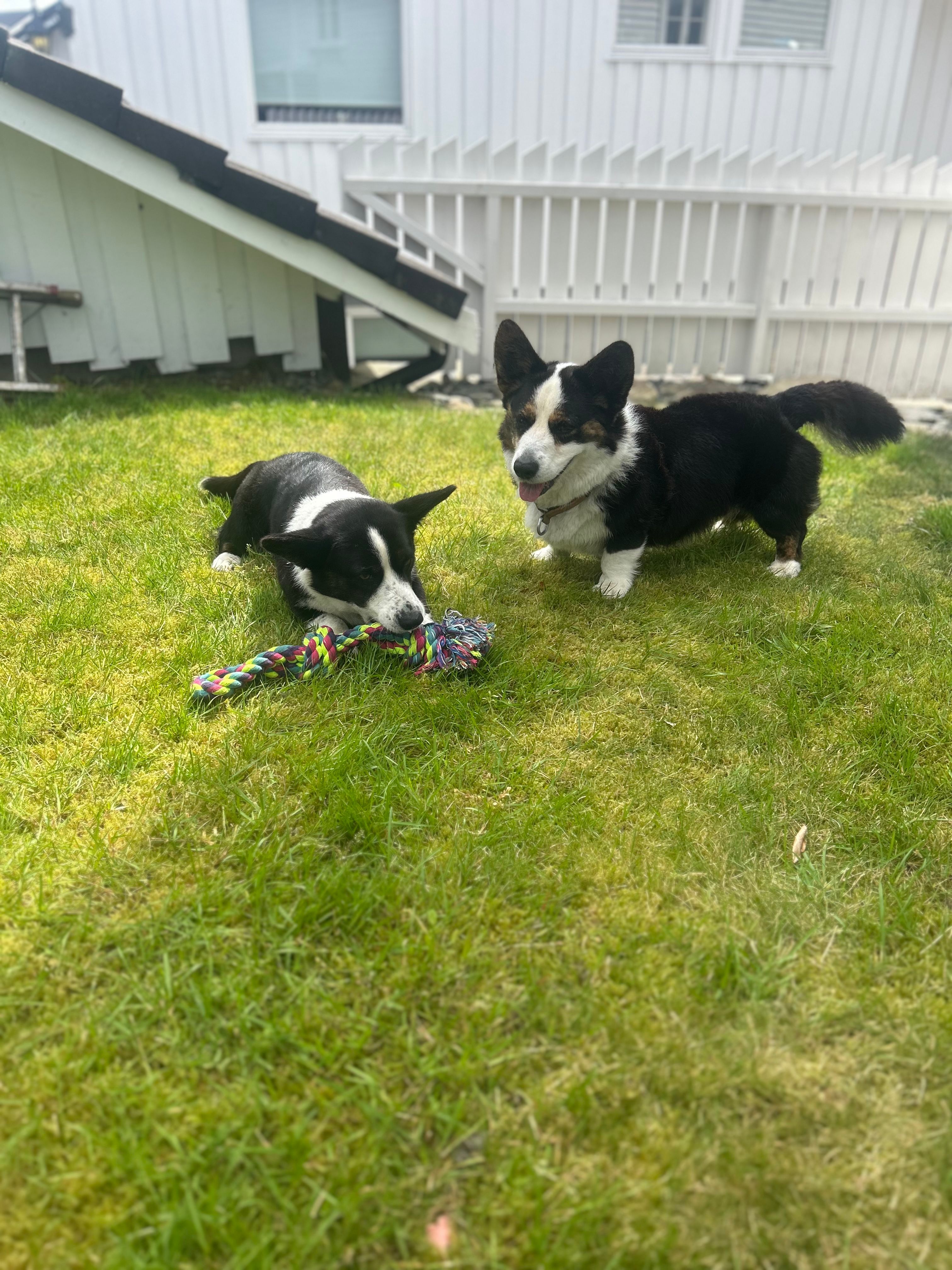 image-11