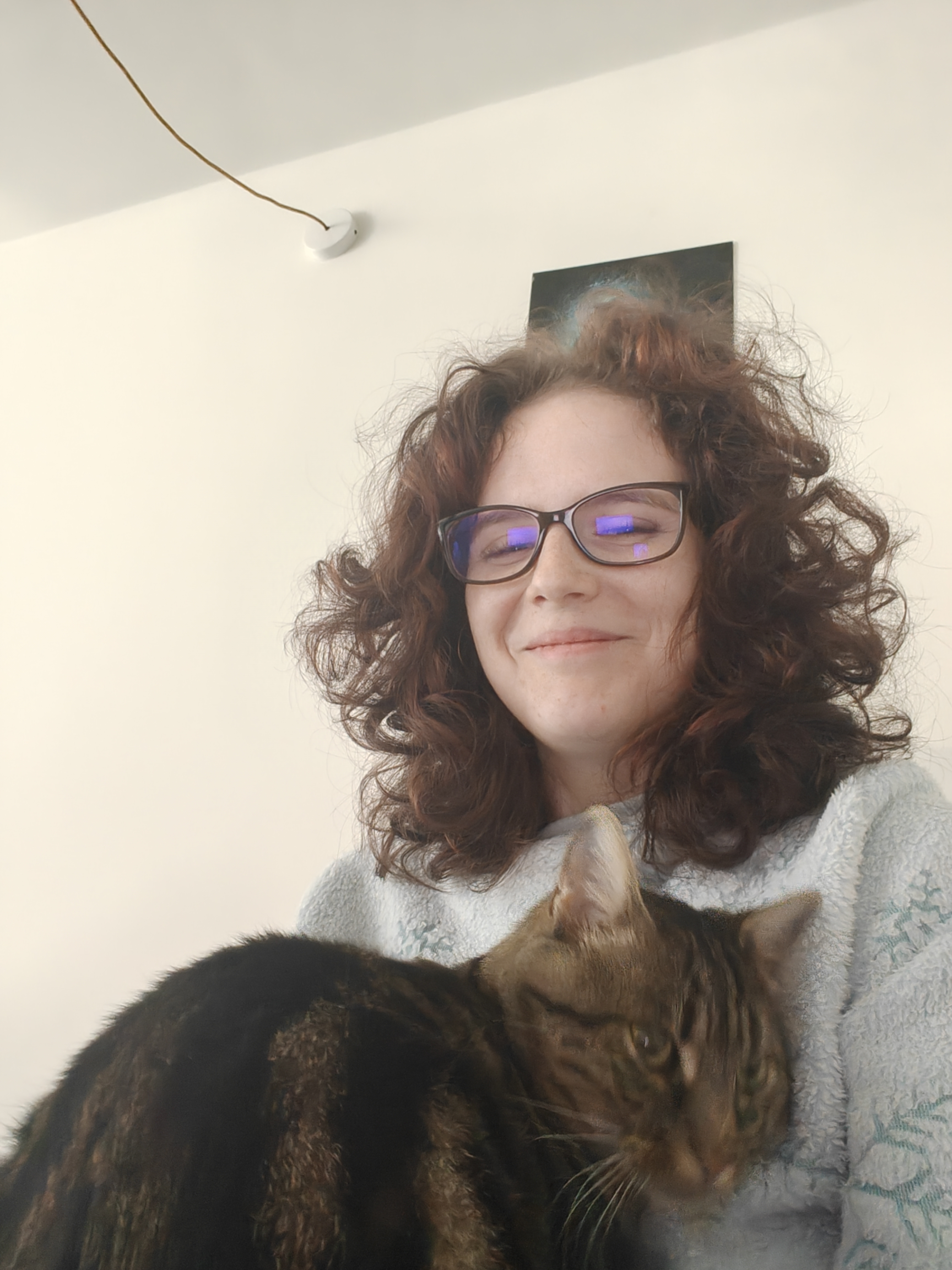 image-8