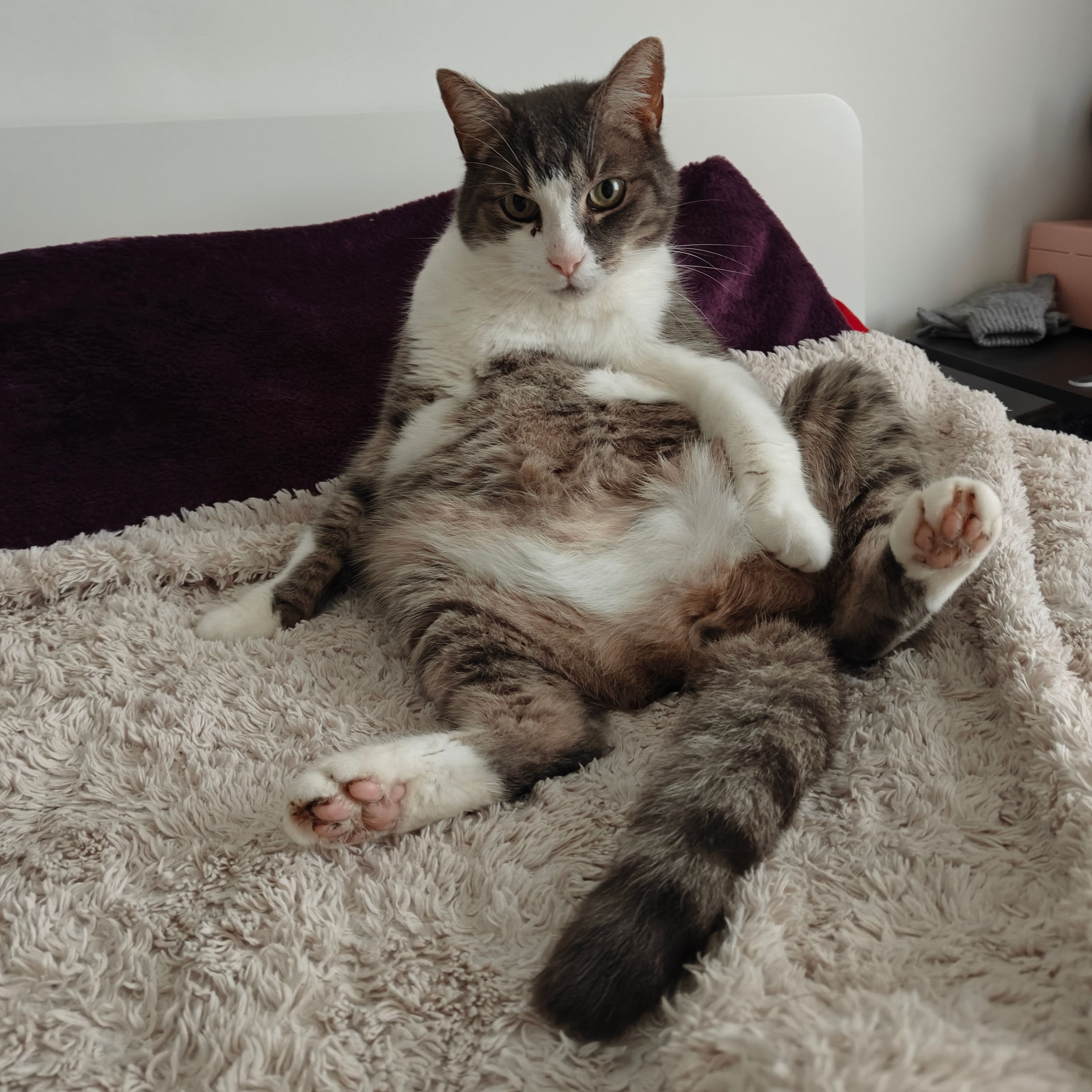 Merlin