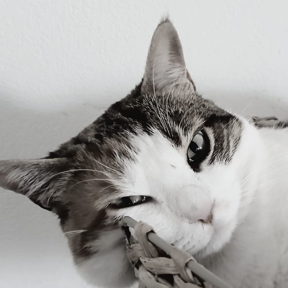 Plume