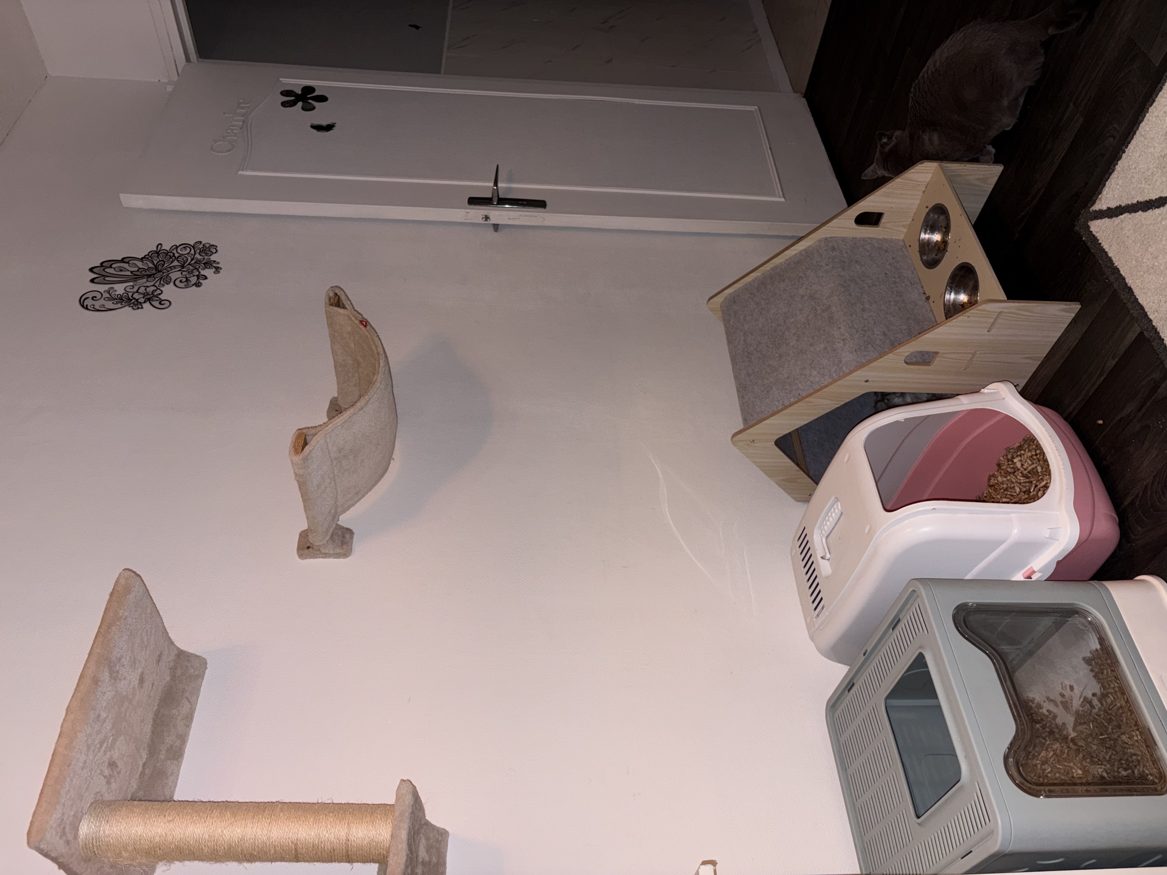 image-10