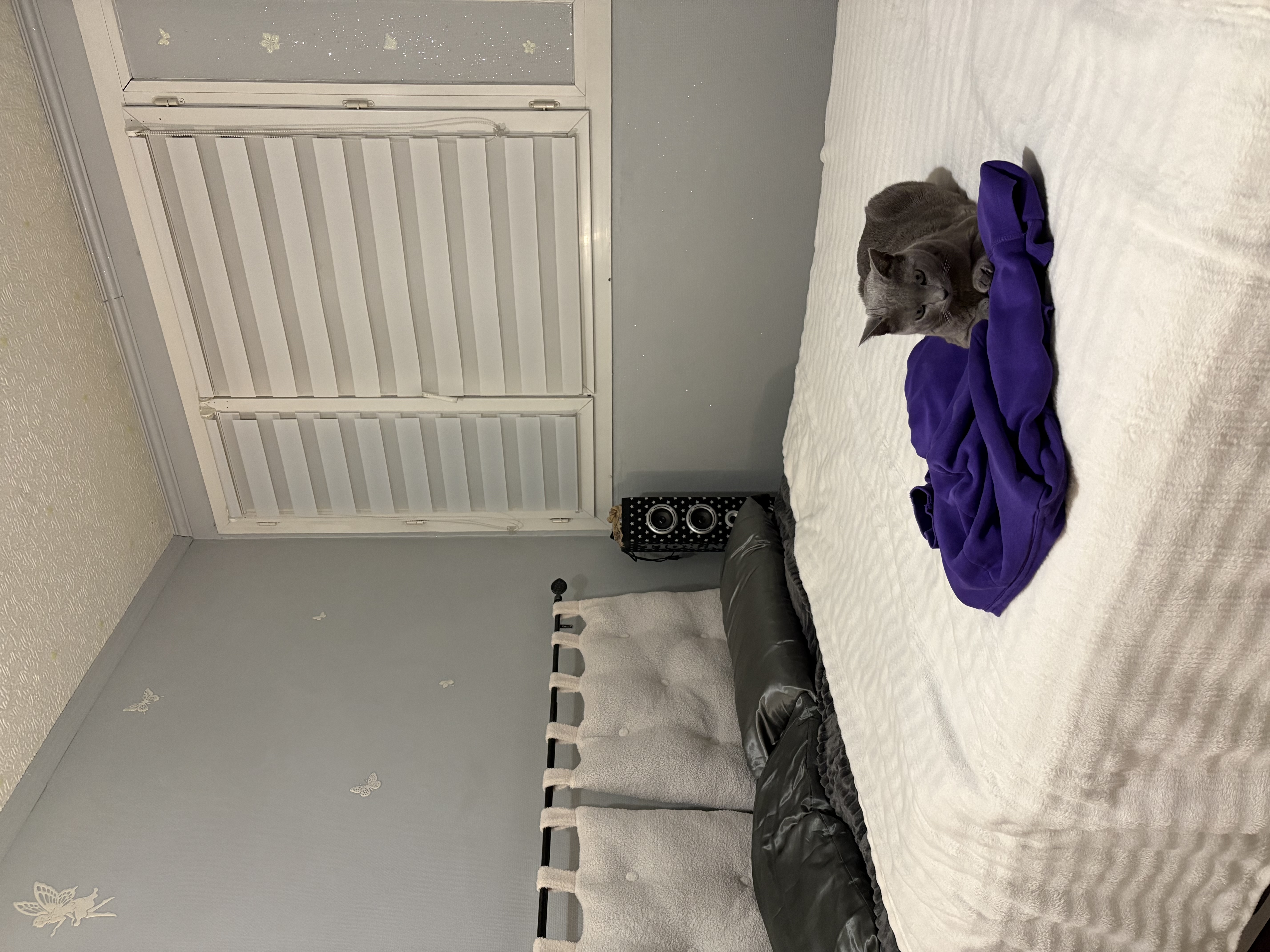 image-12