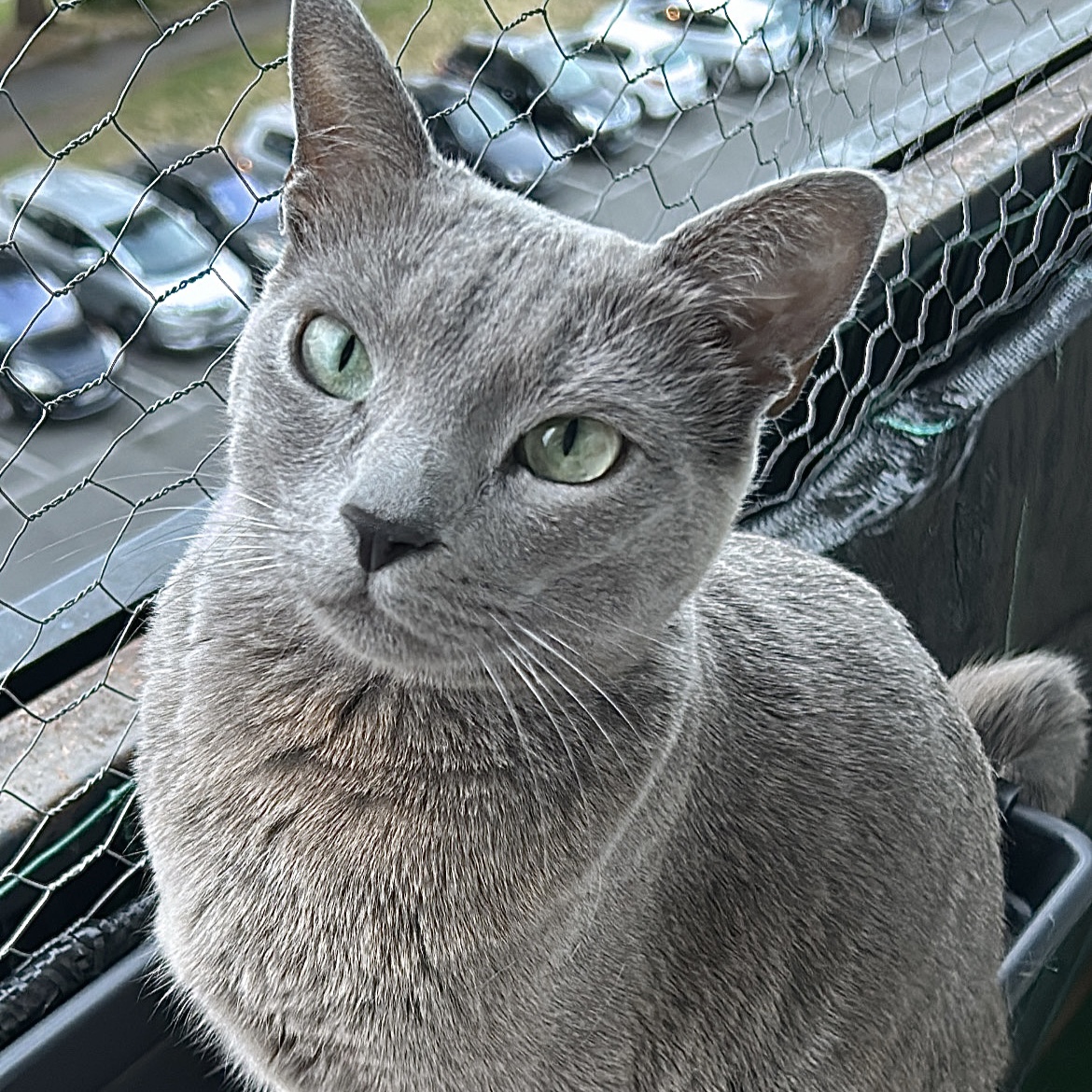 Héra 