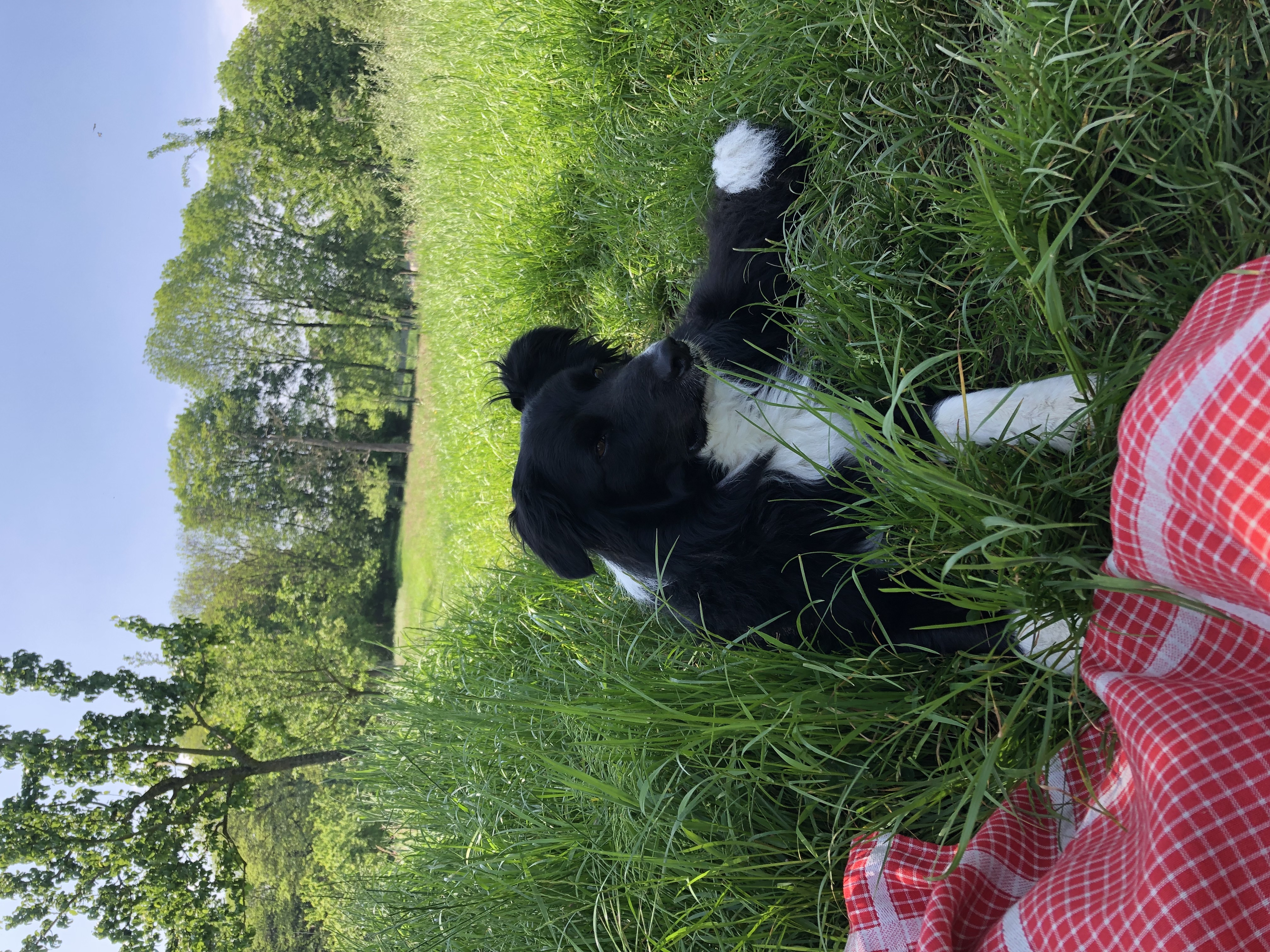 image-2