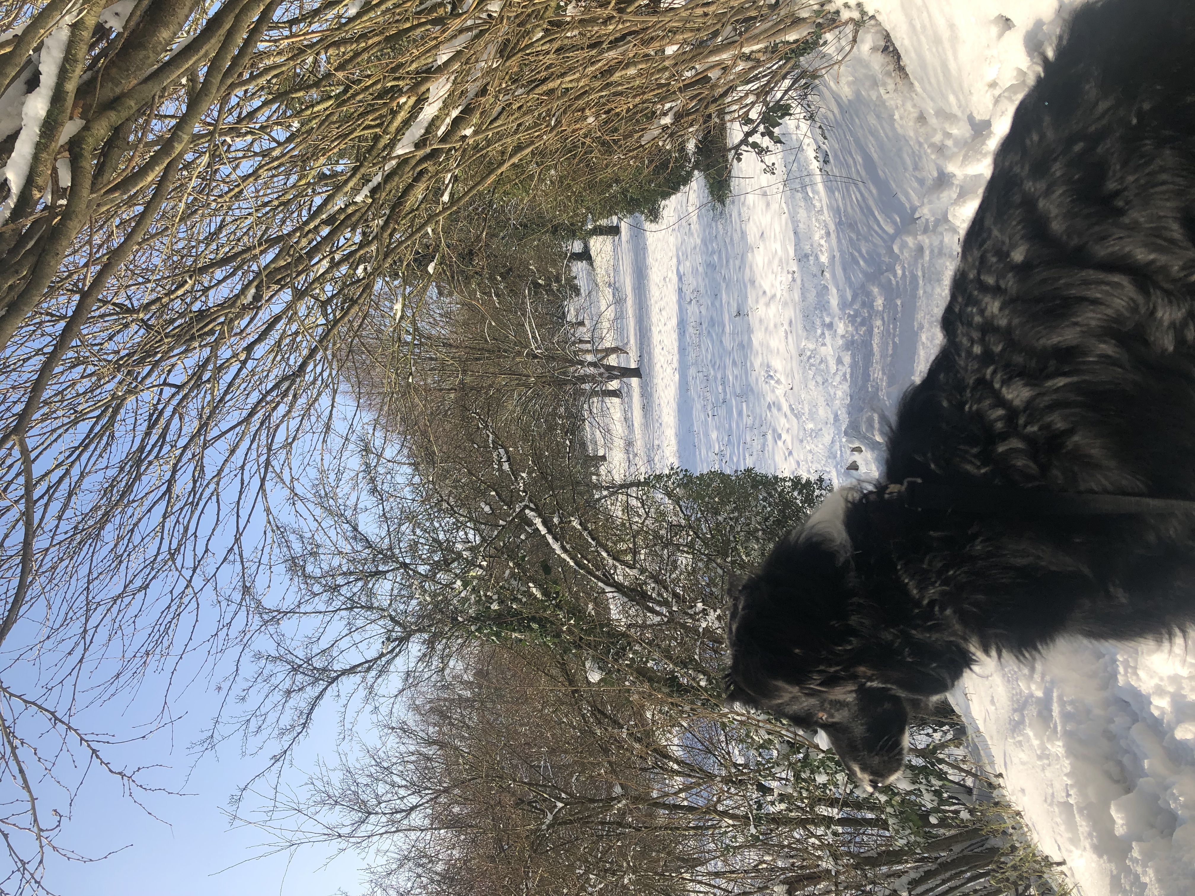 image-15