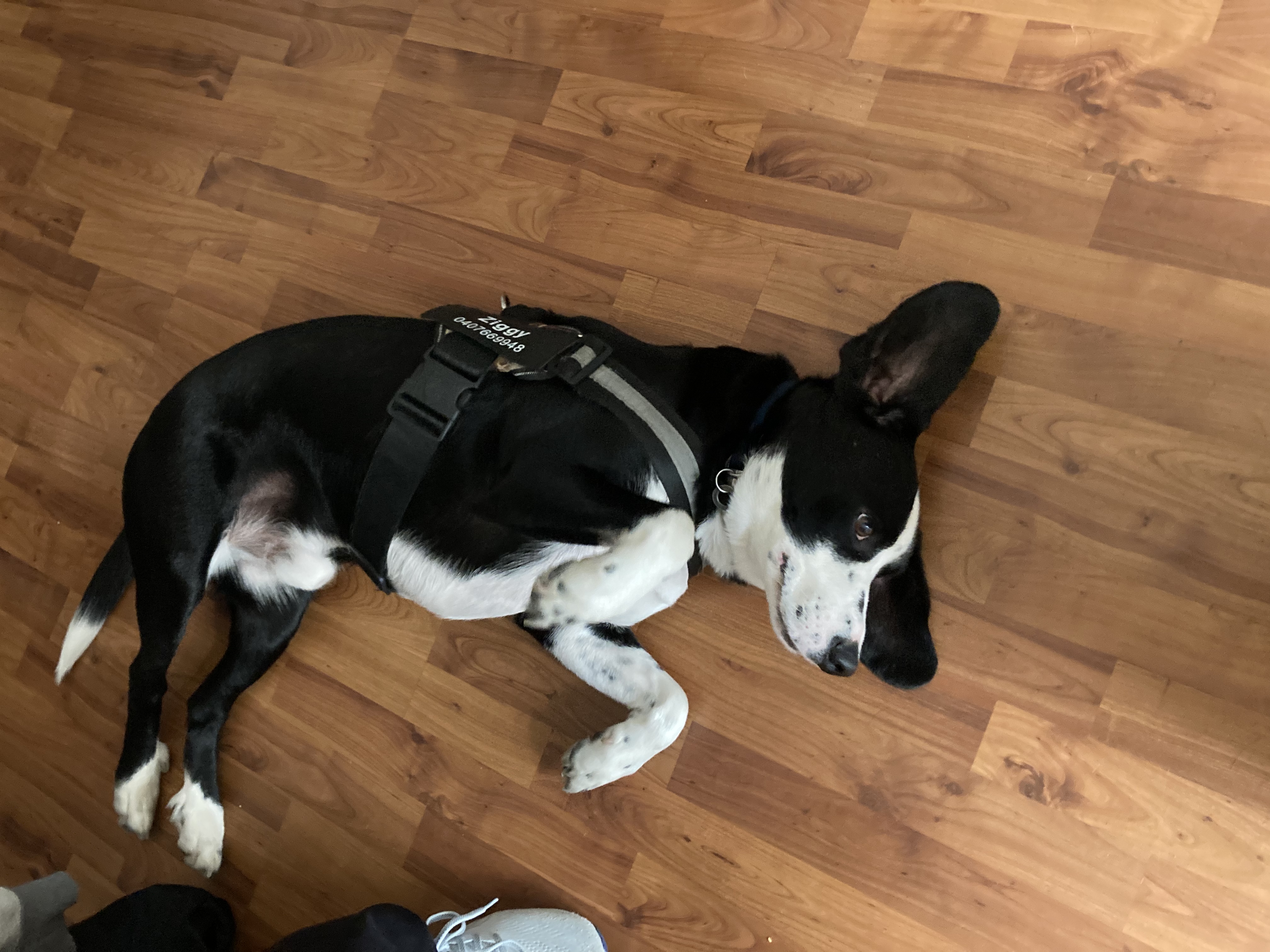 image-11