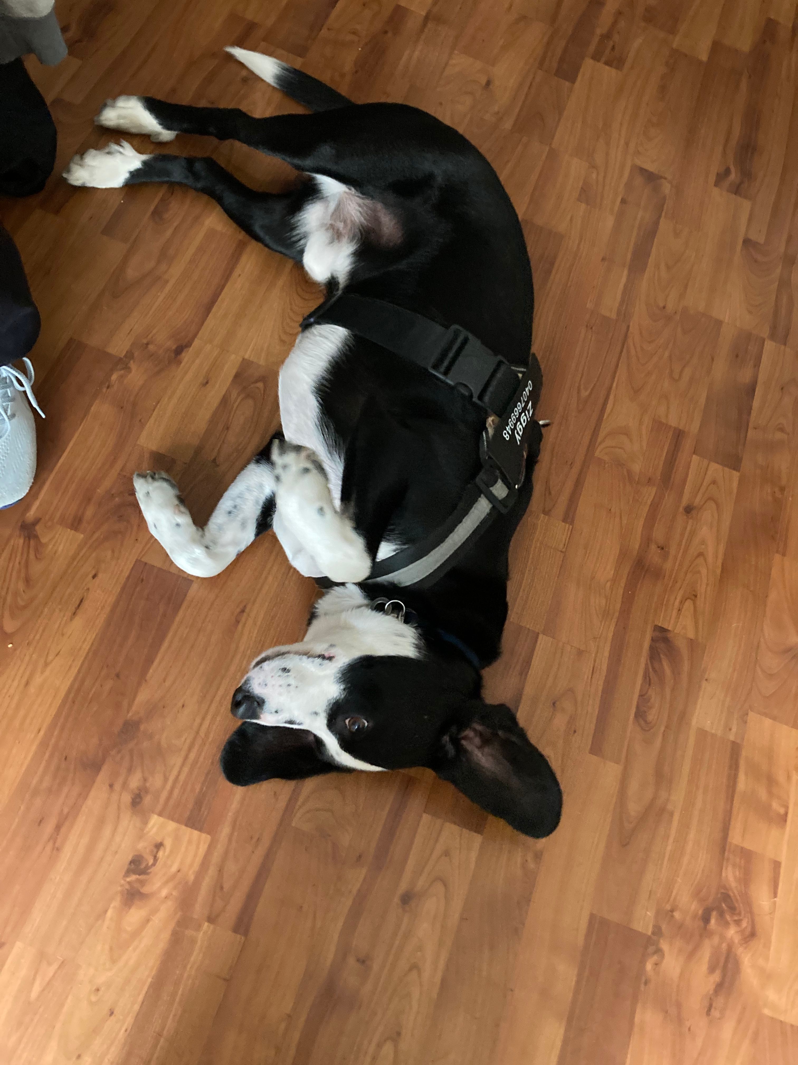image-11