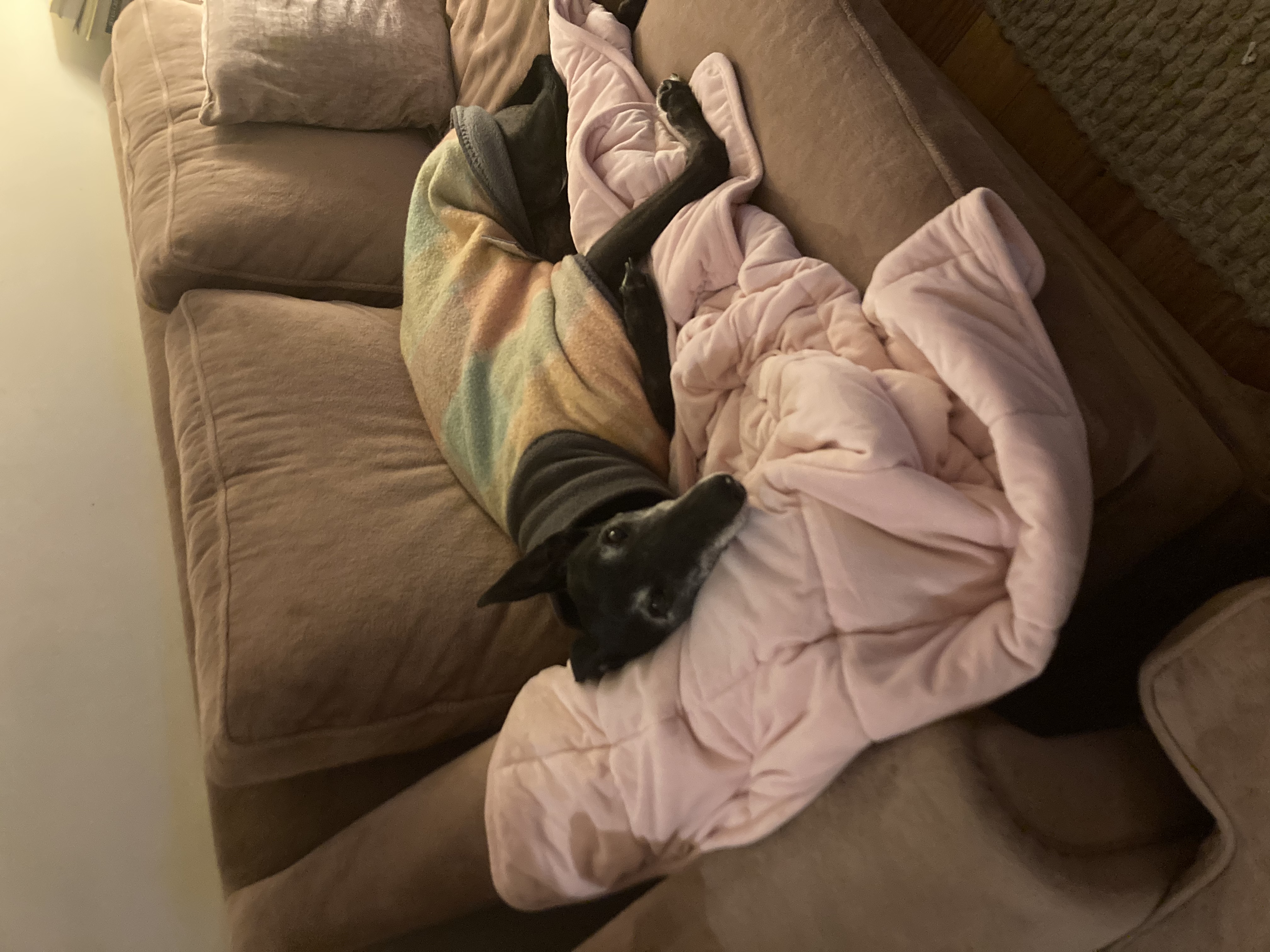 image-13