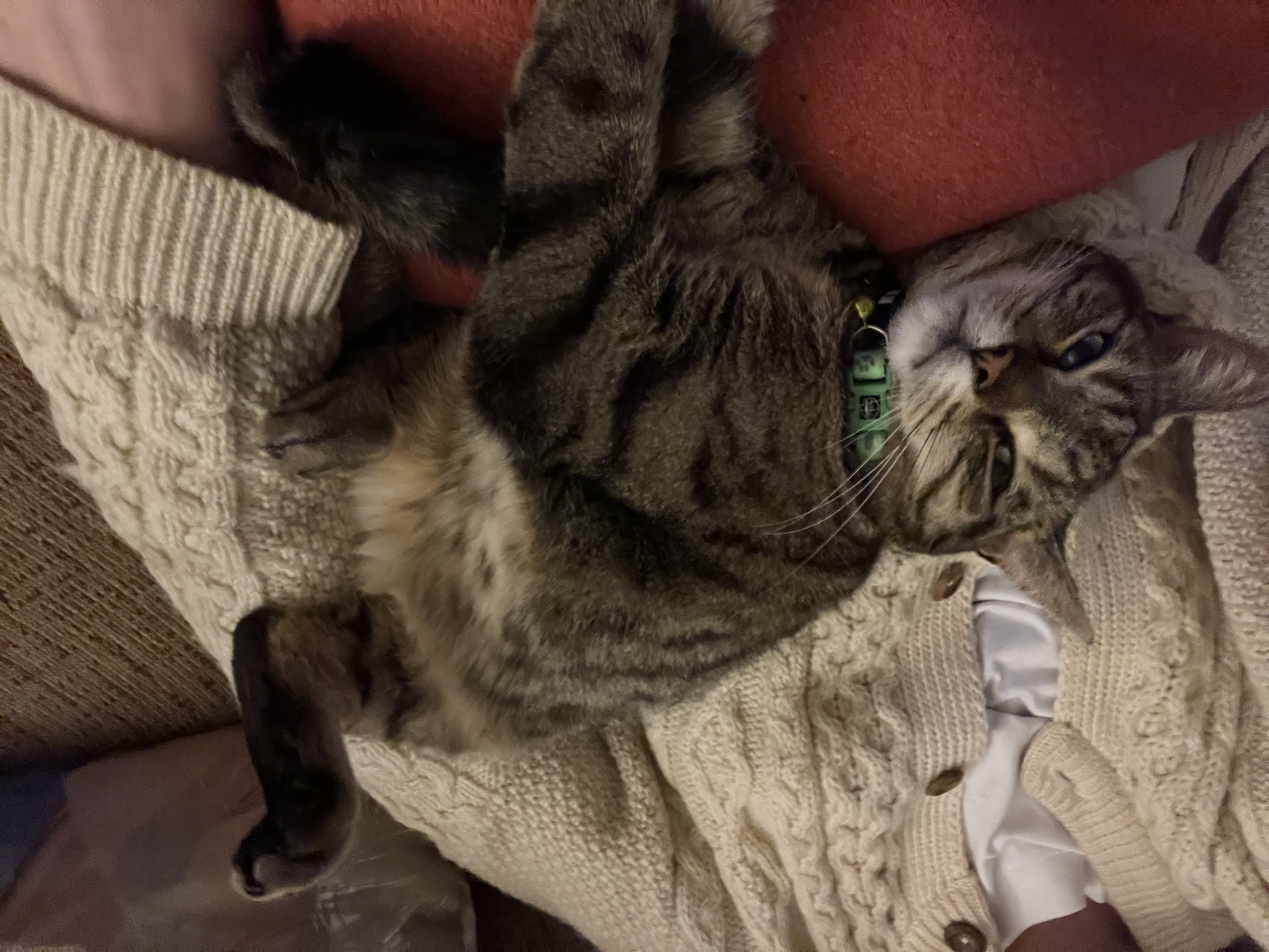 image-8