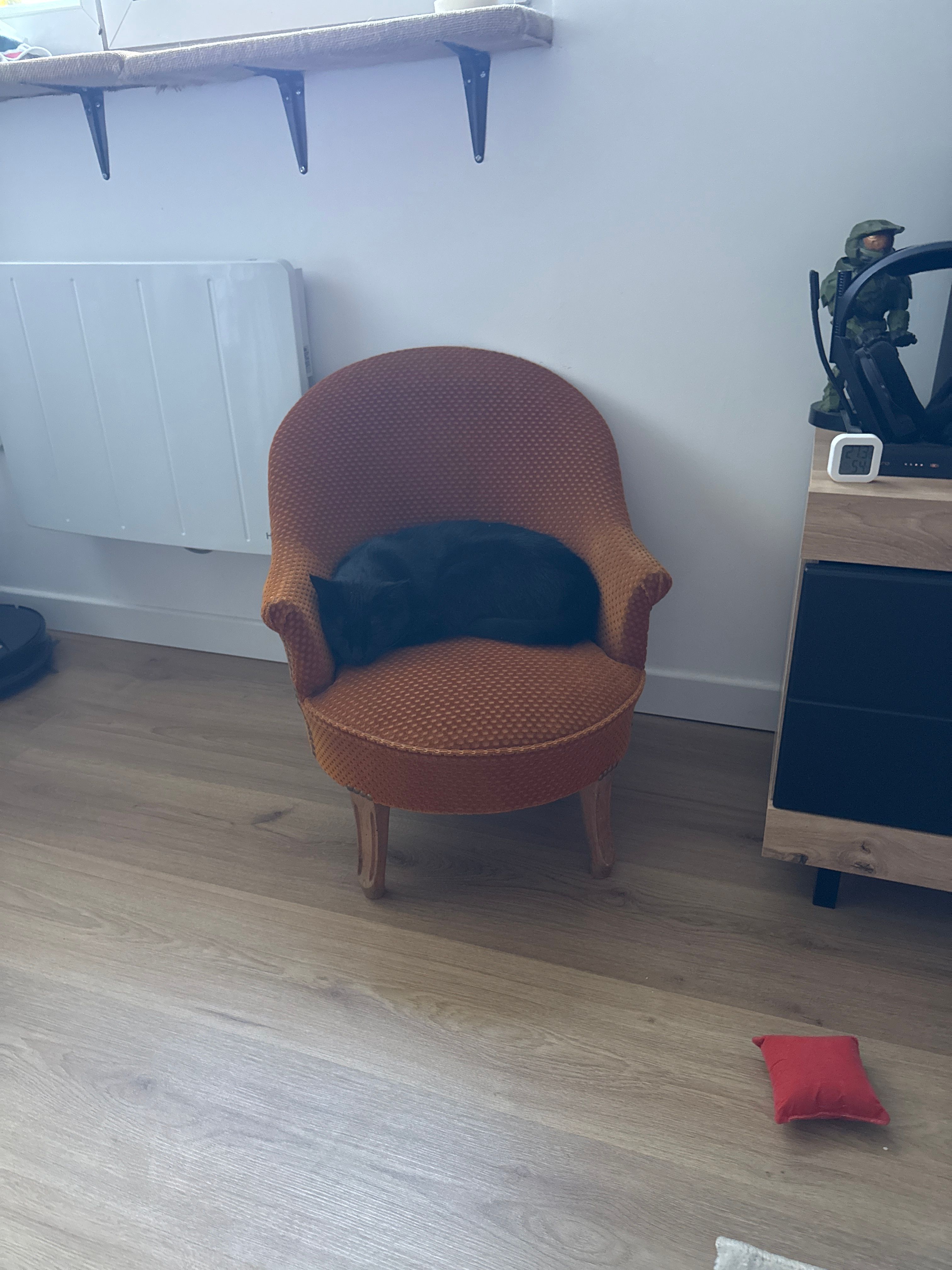 image-13