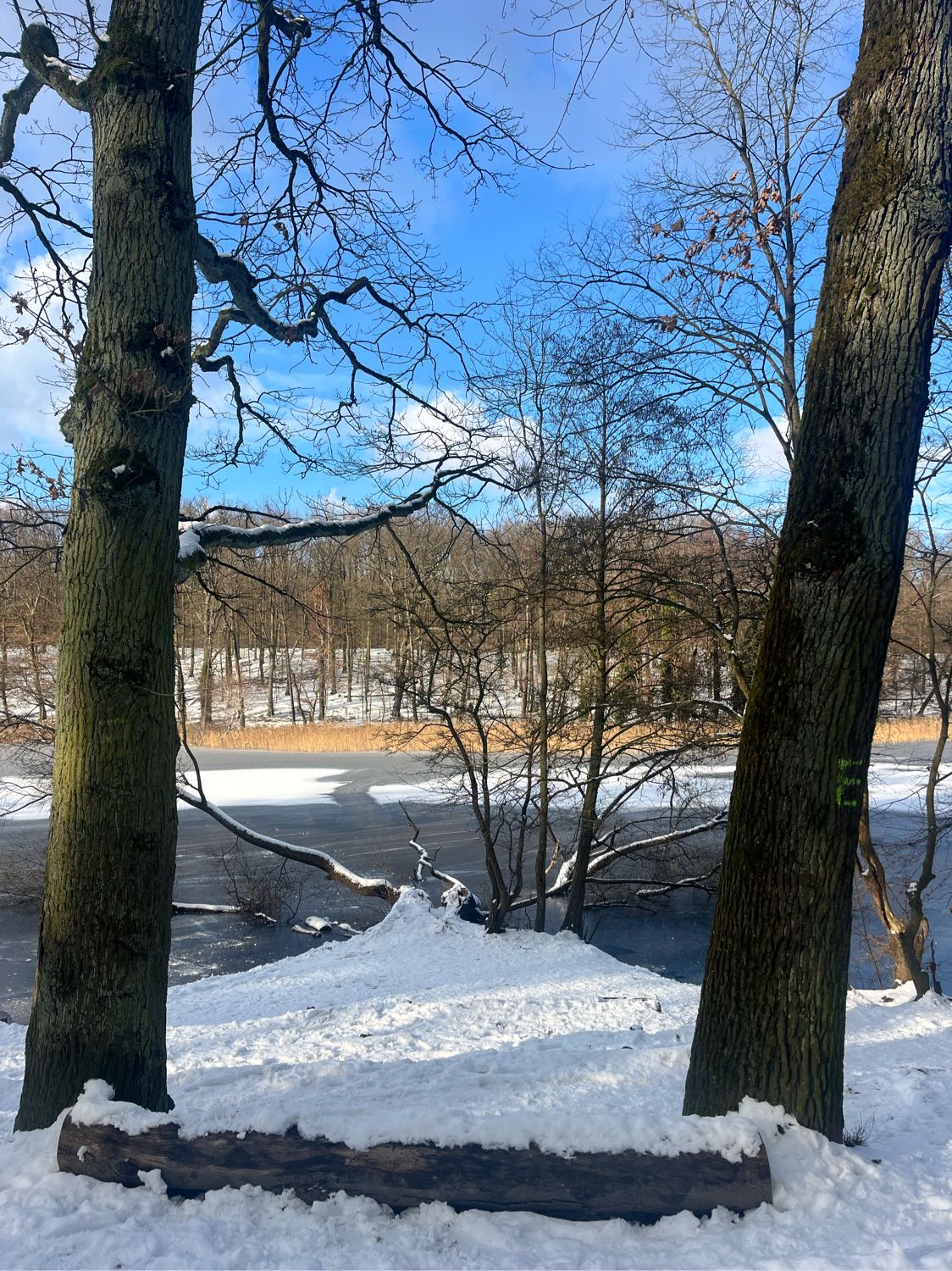 image-4