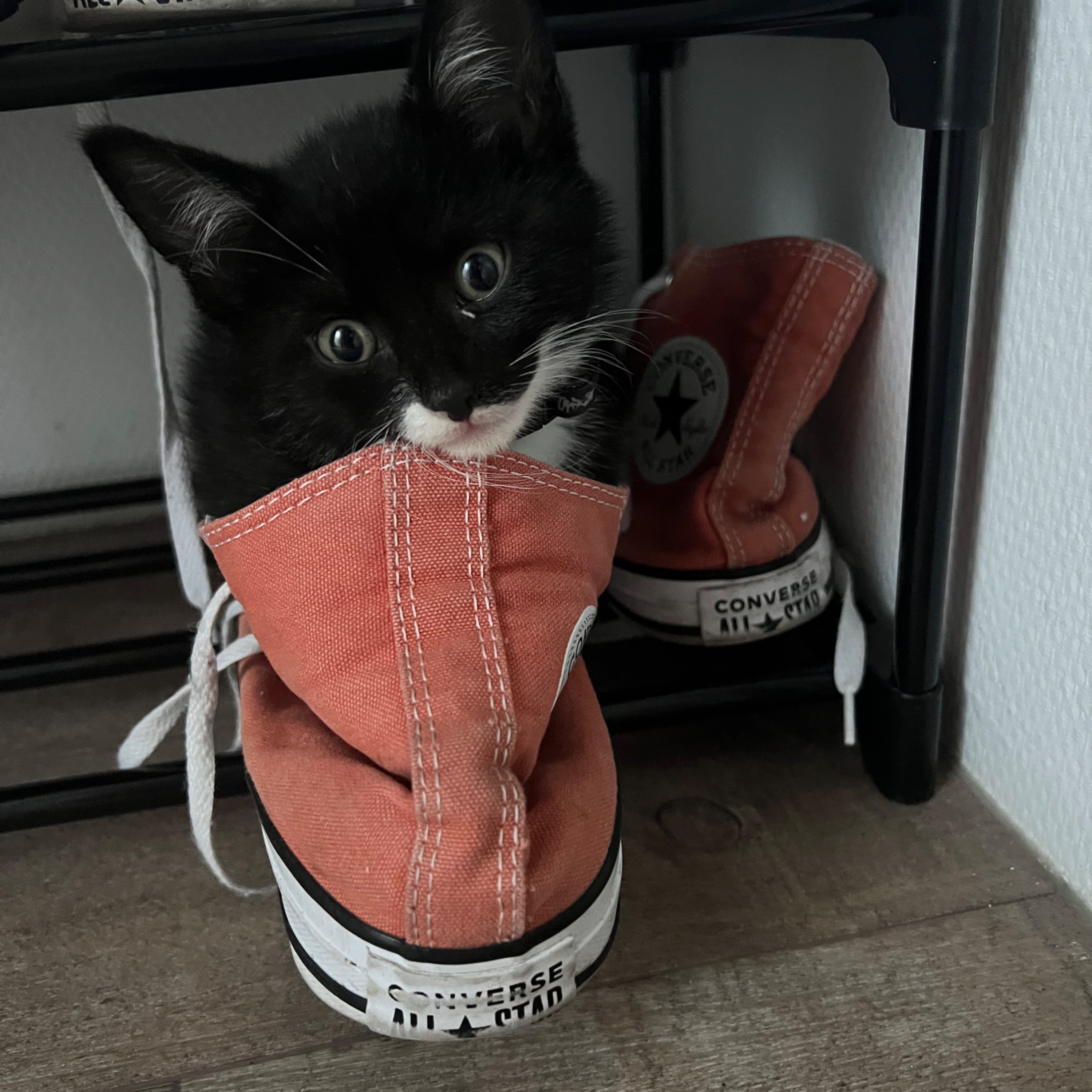 Phineas