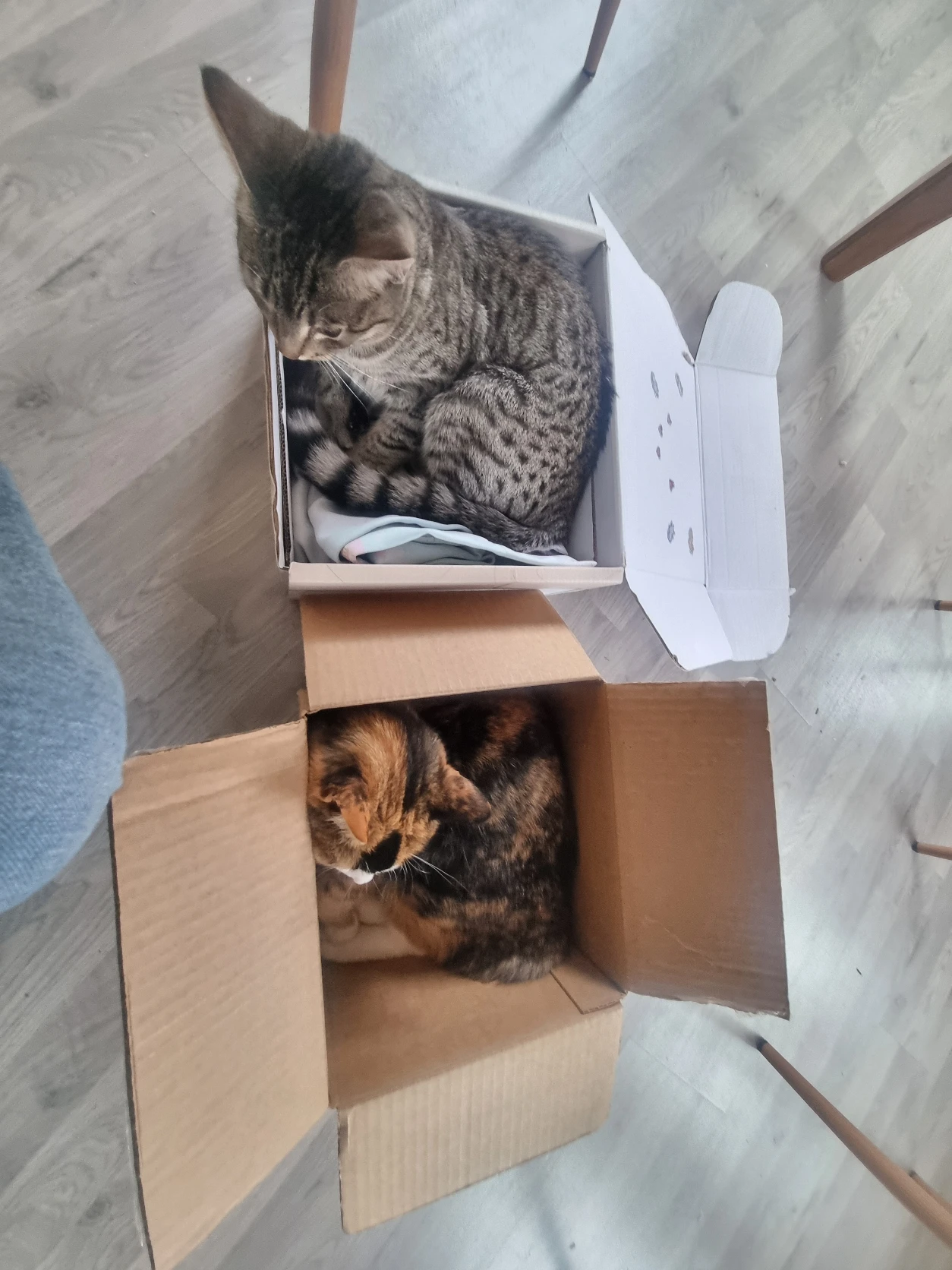 image-2