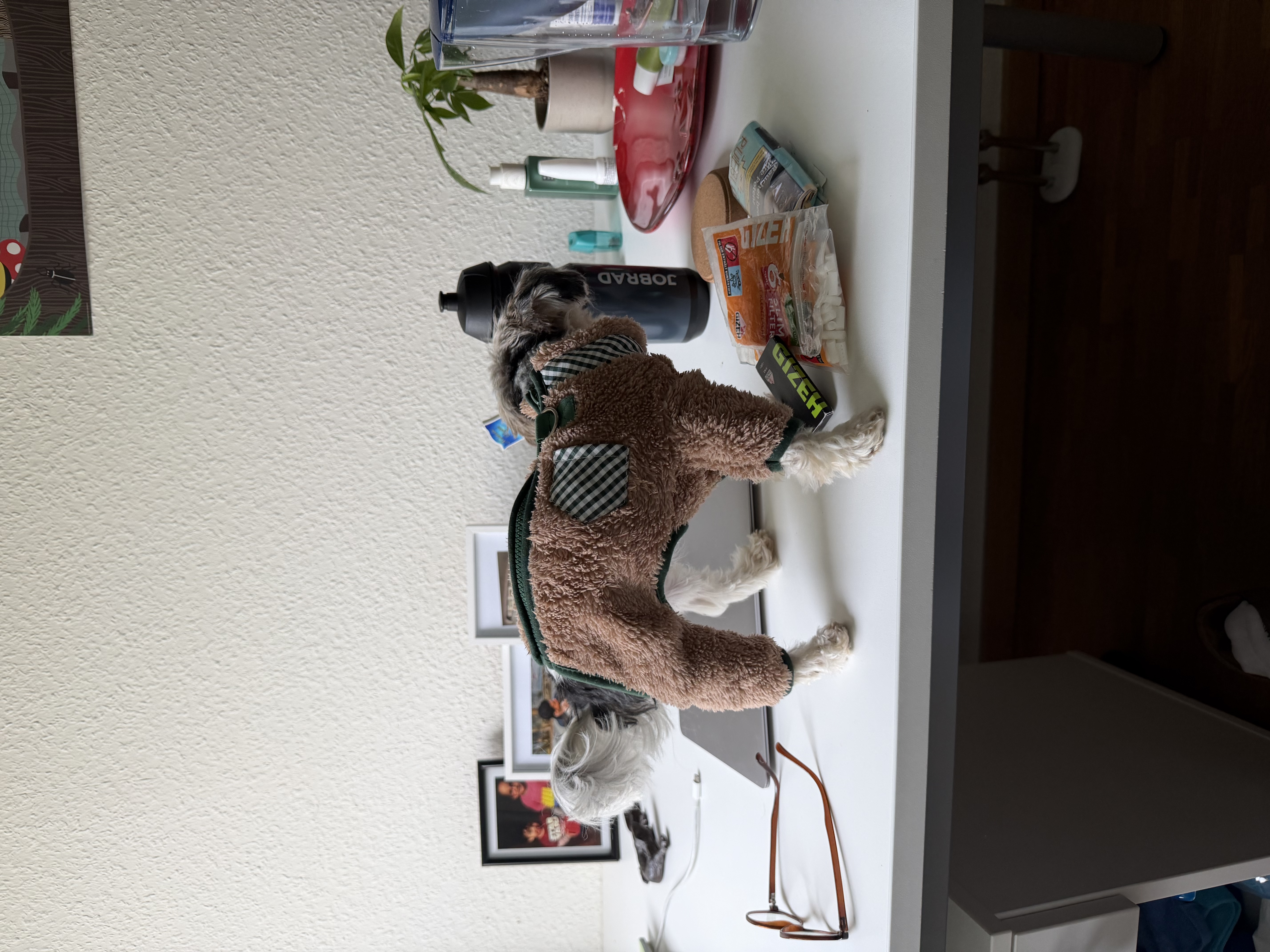 image-14