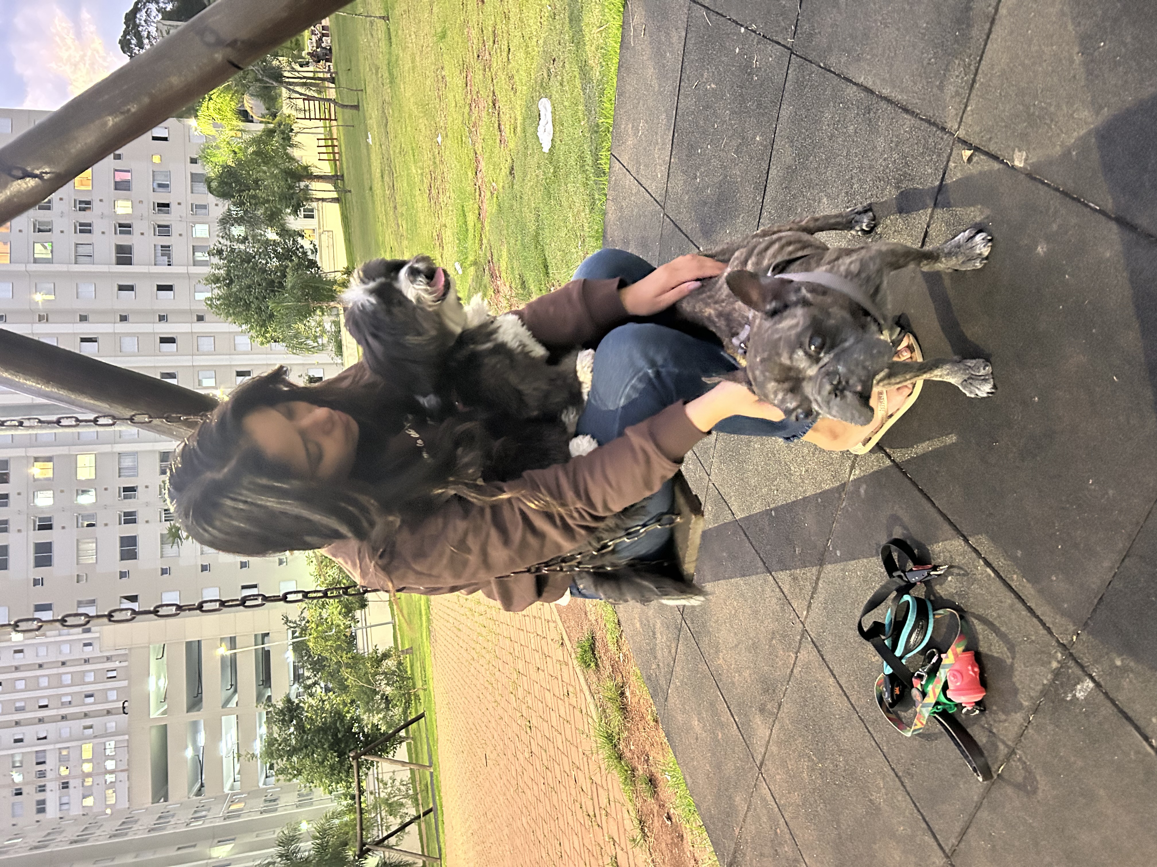 image-3