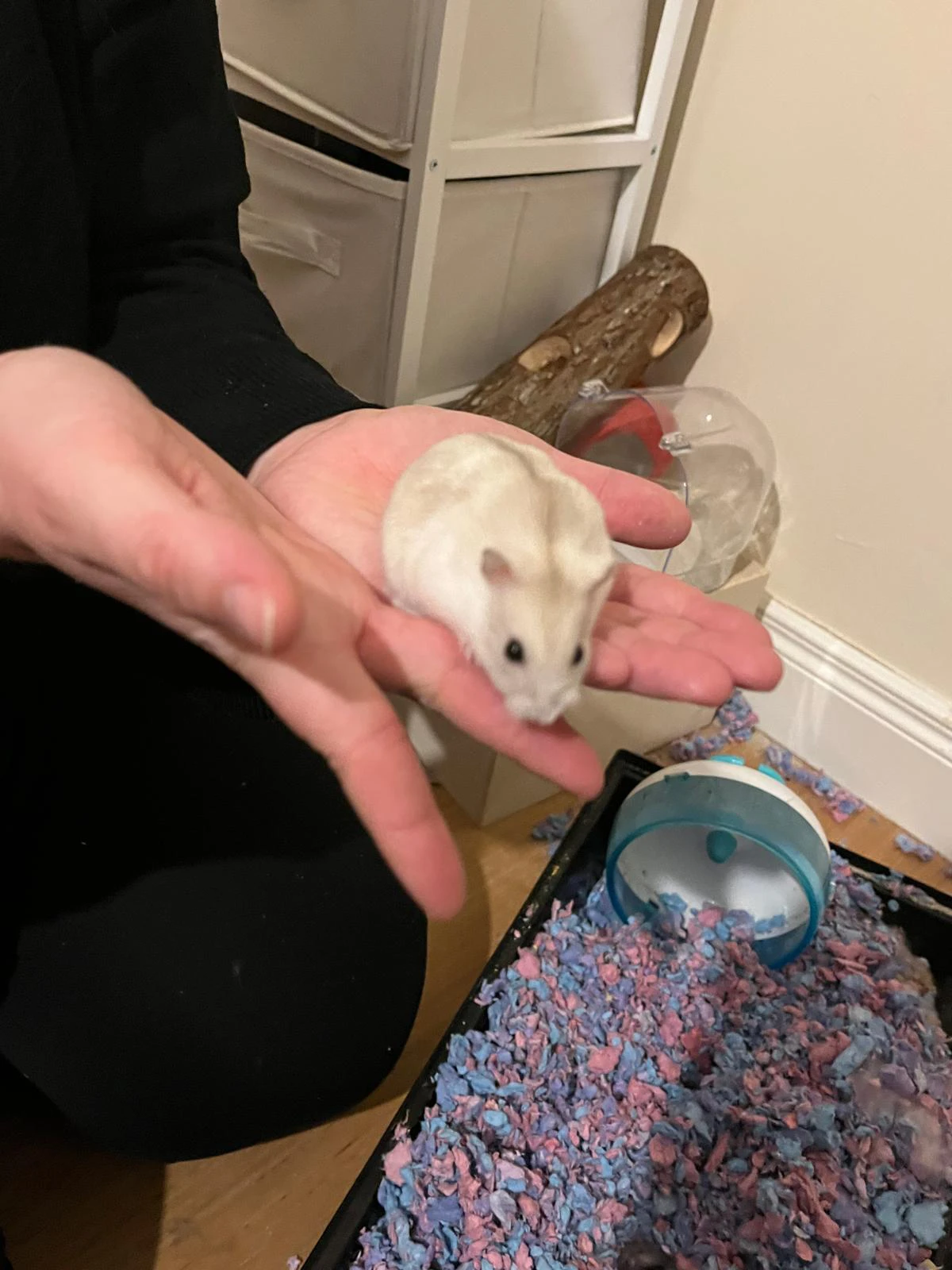 image-9
