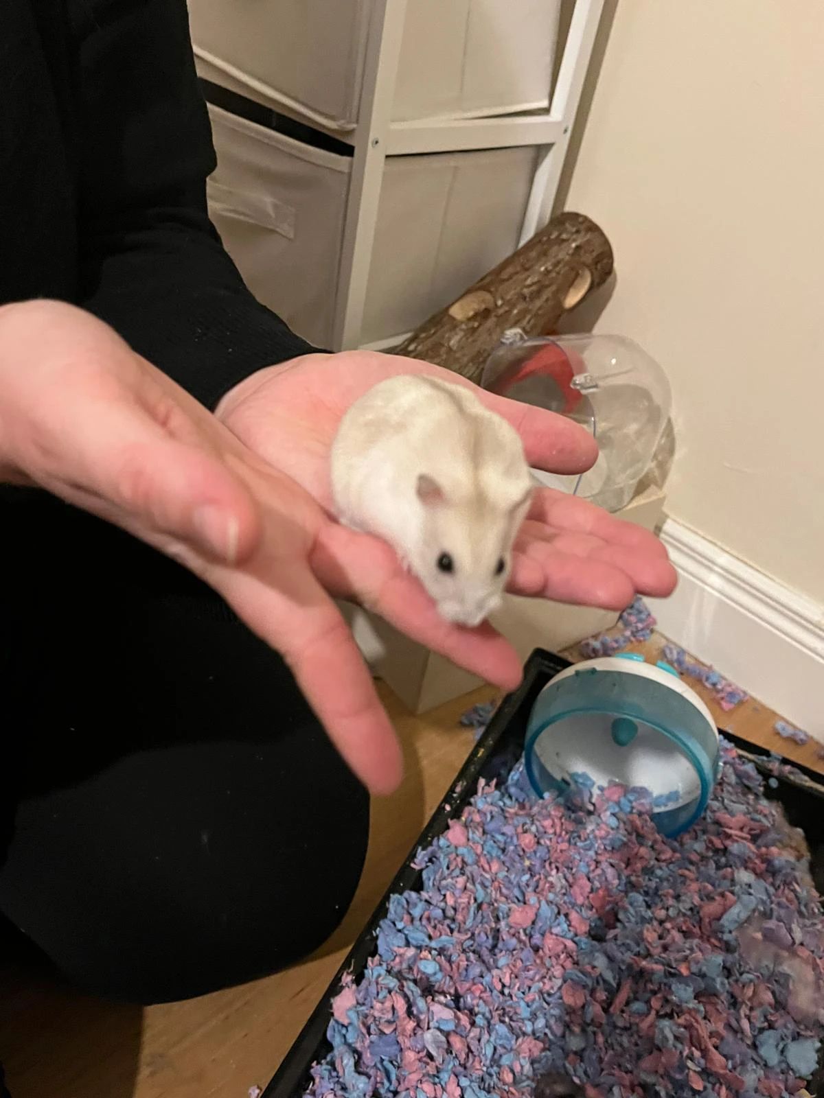 image-9