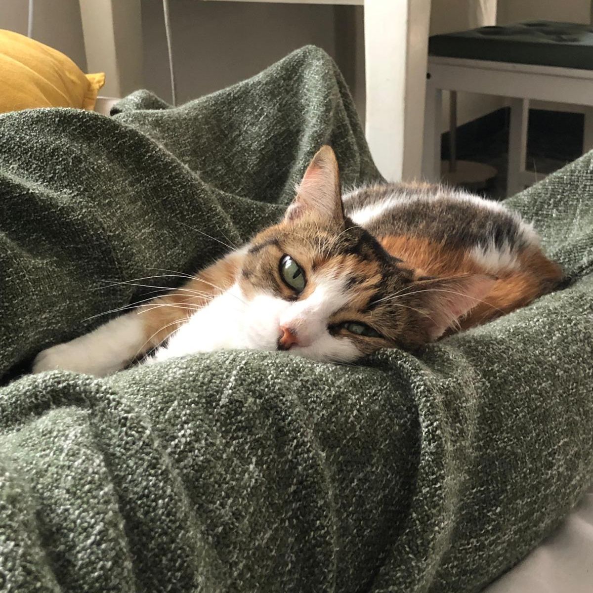 Mimi
