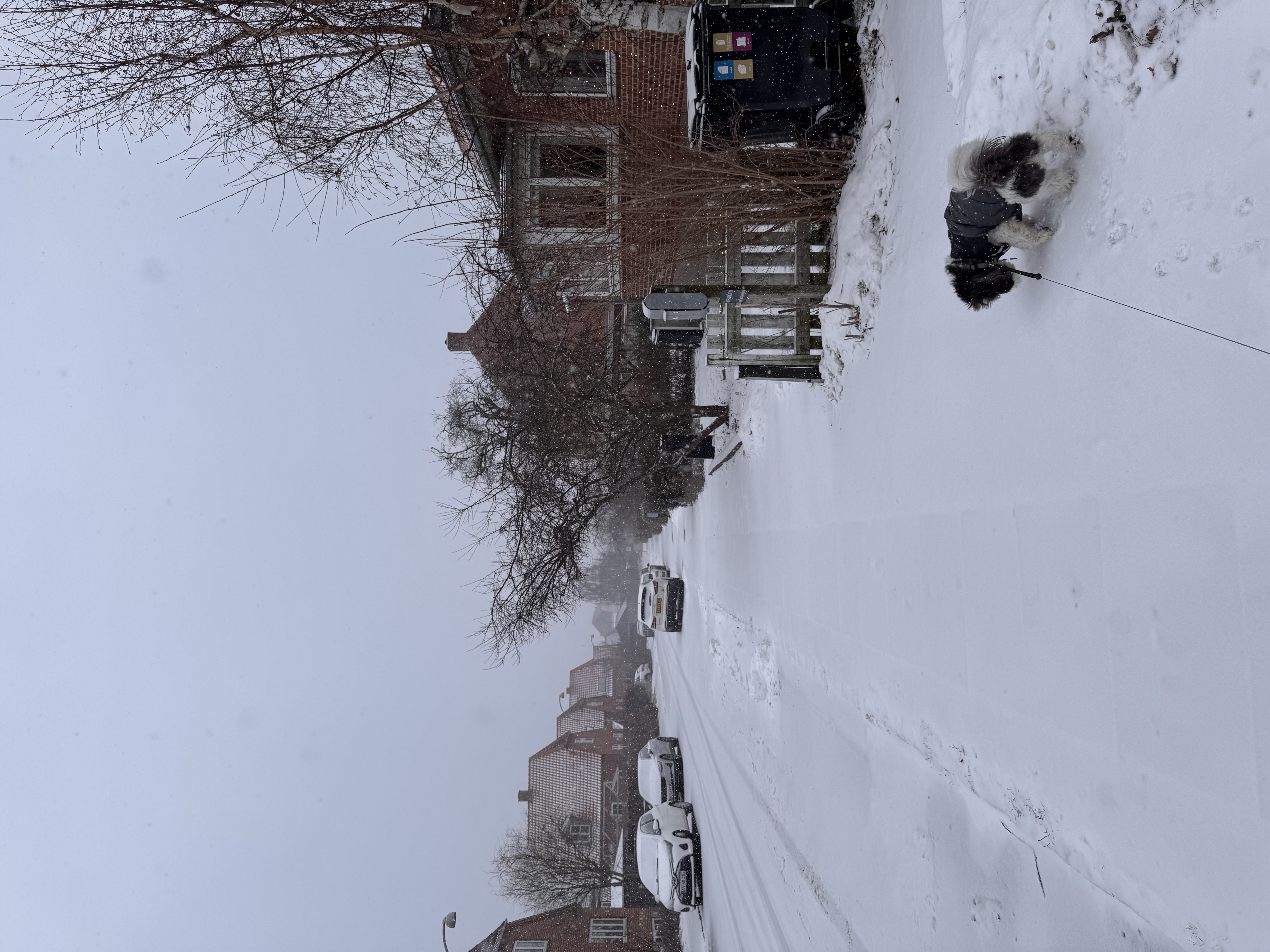 image-15