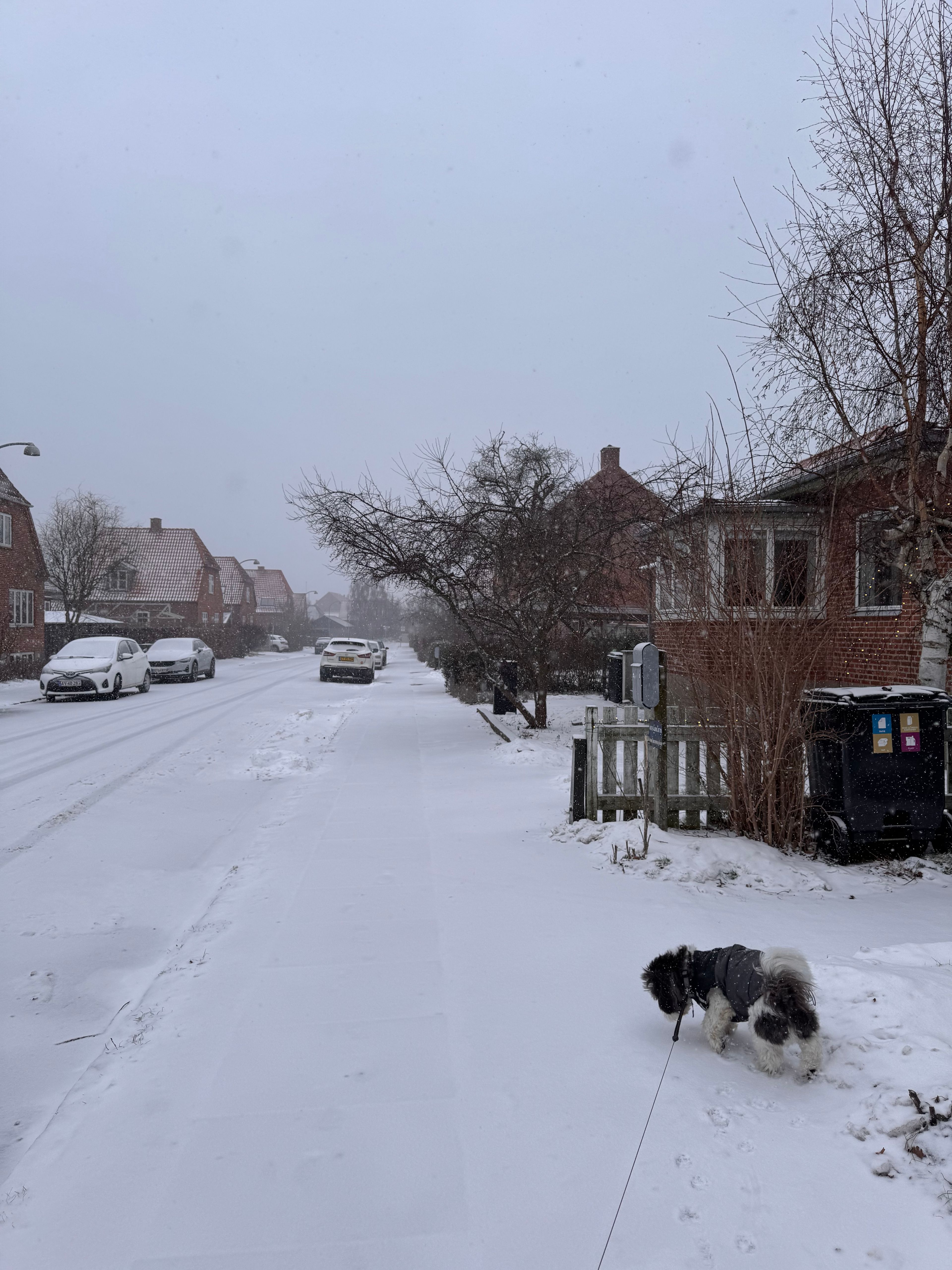 image-15