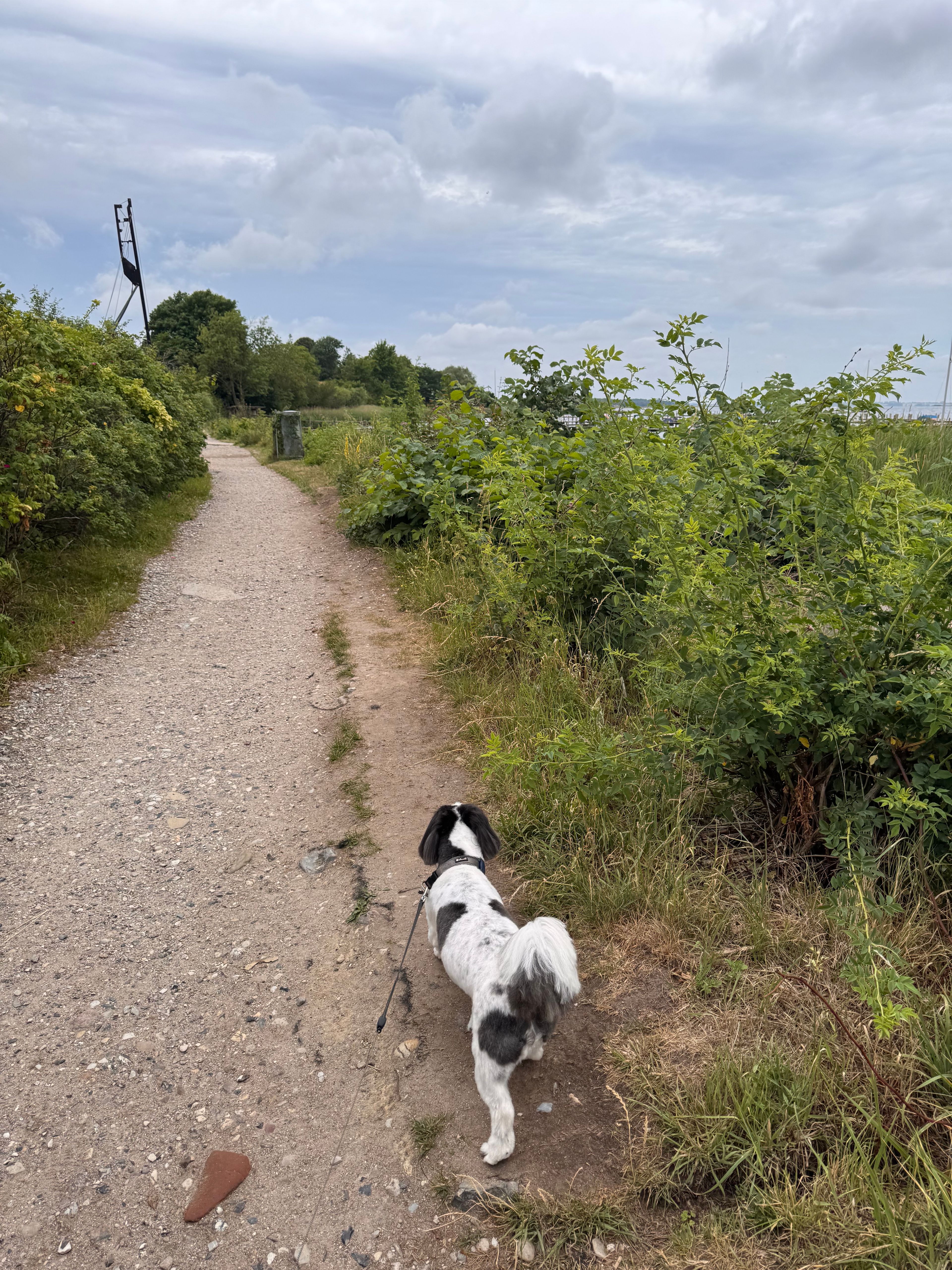 image-13