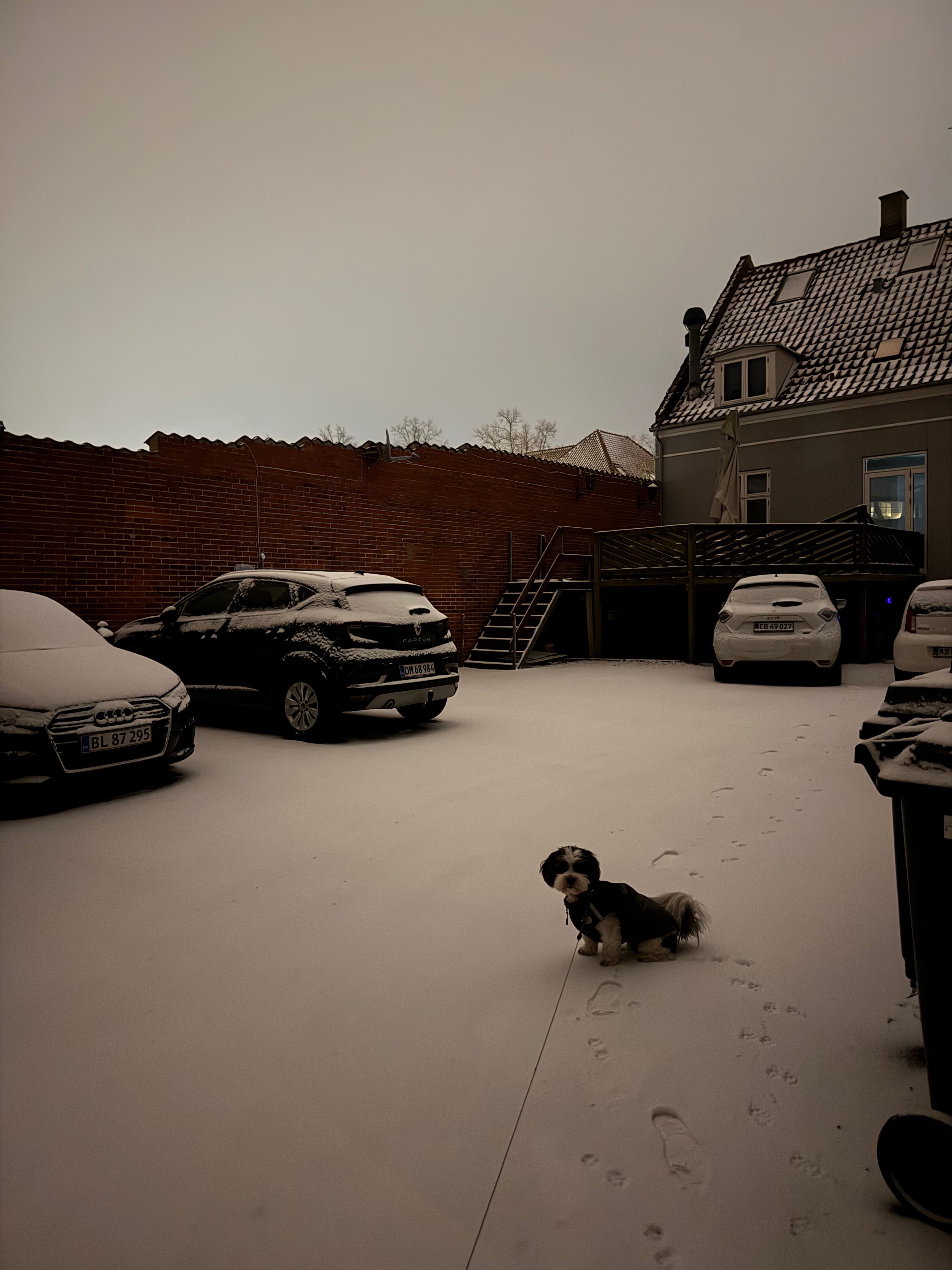 image-16