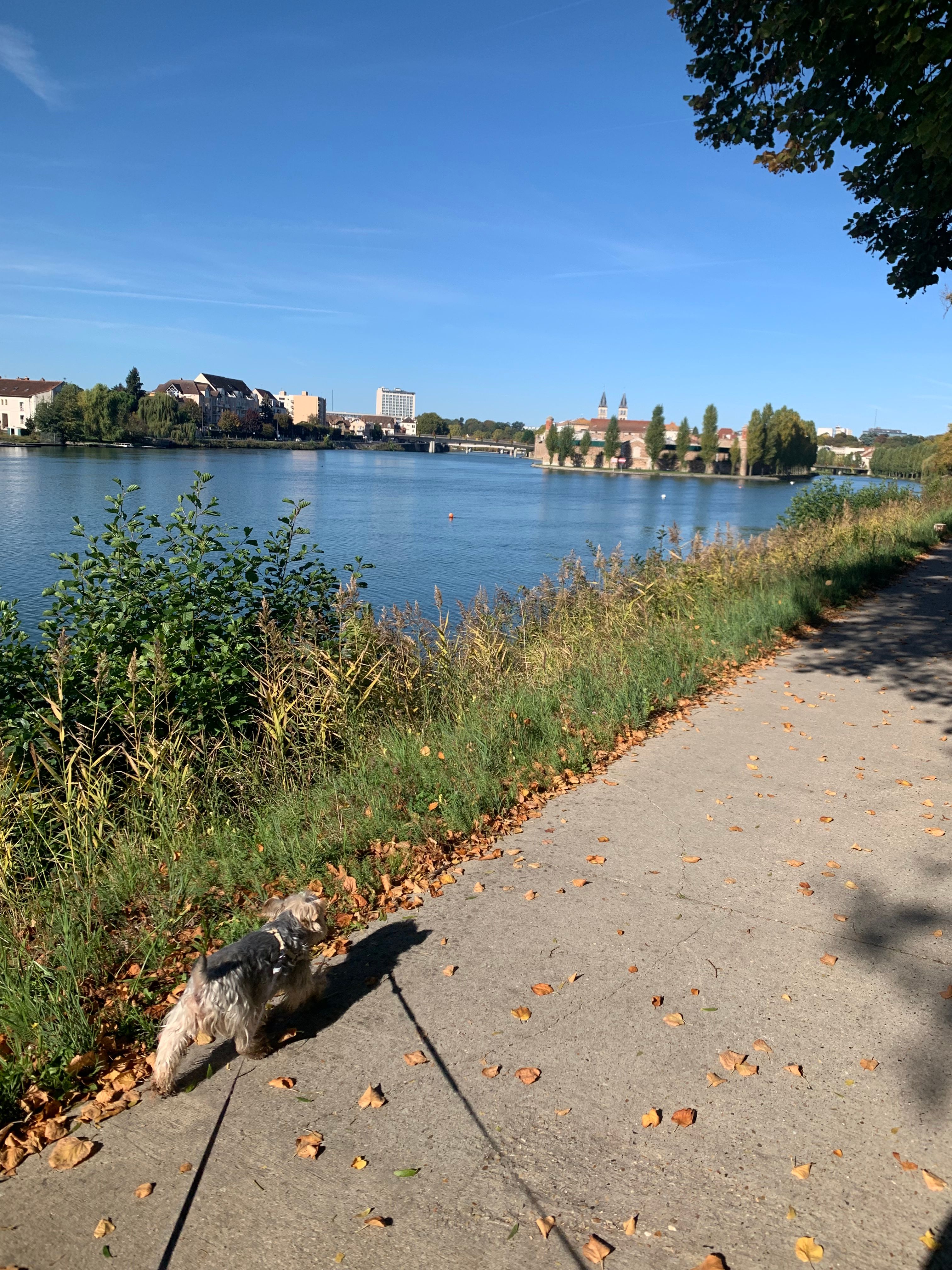 image-11
