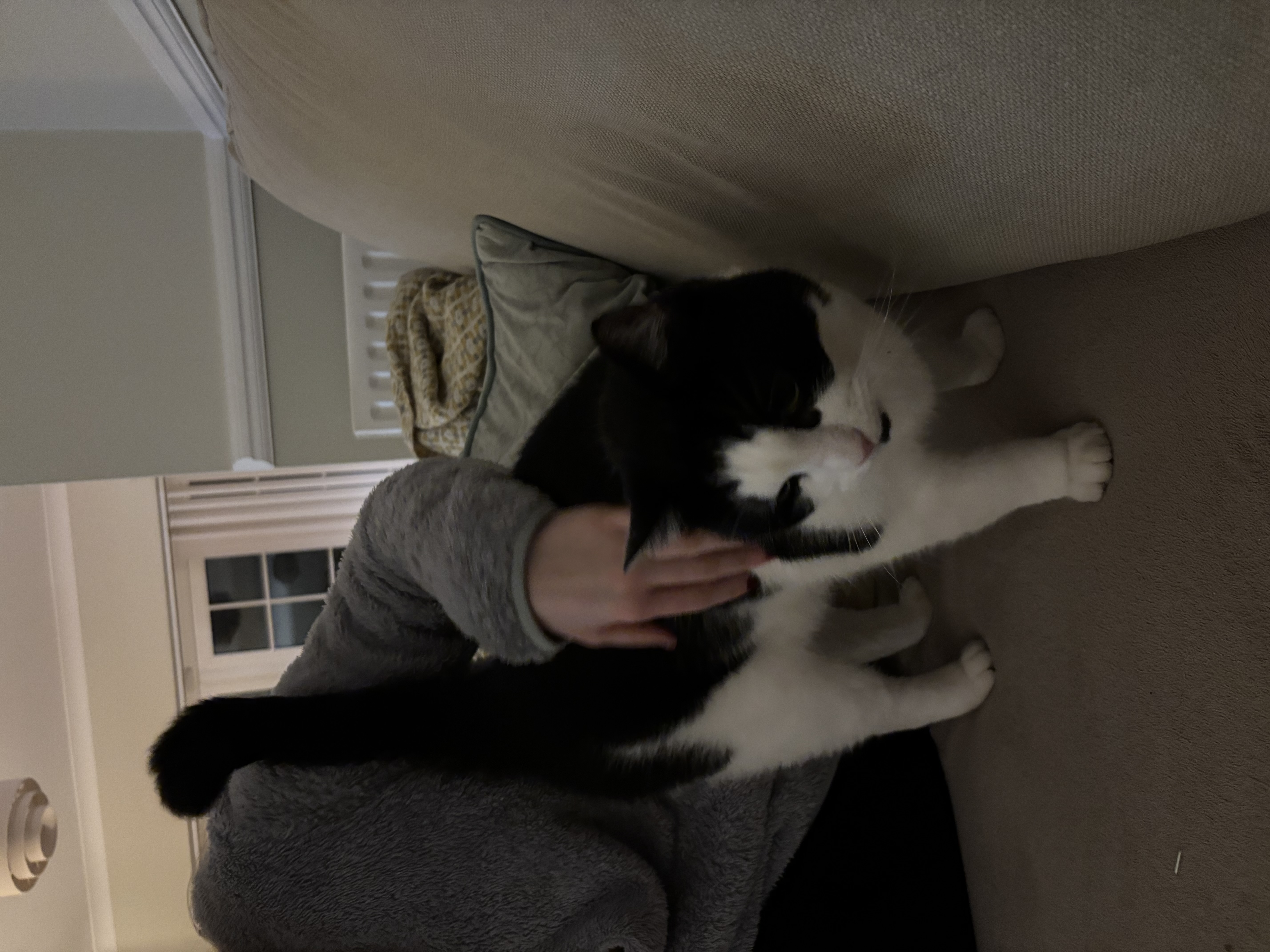 image-9