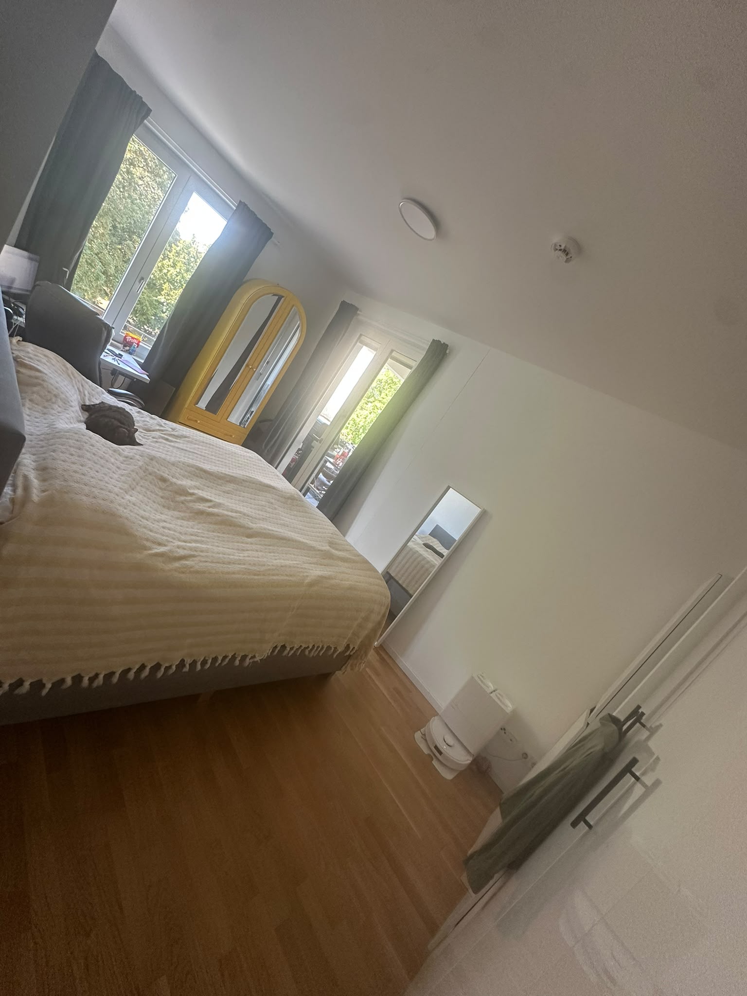image-10