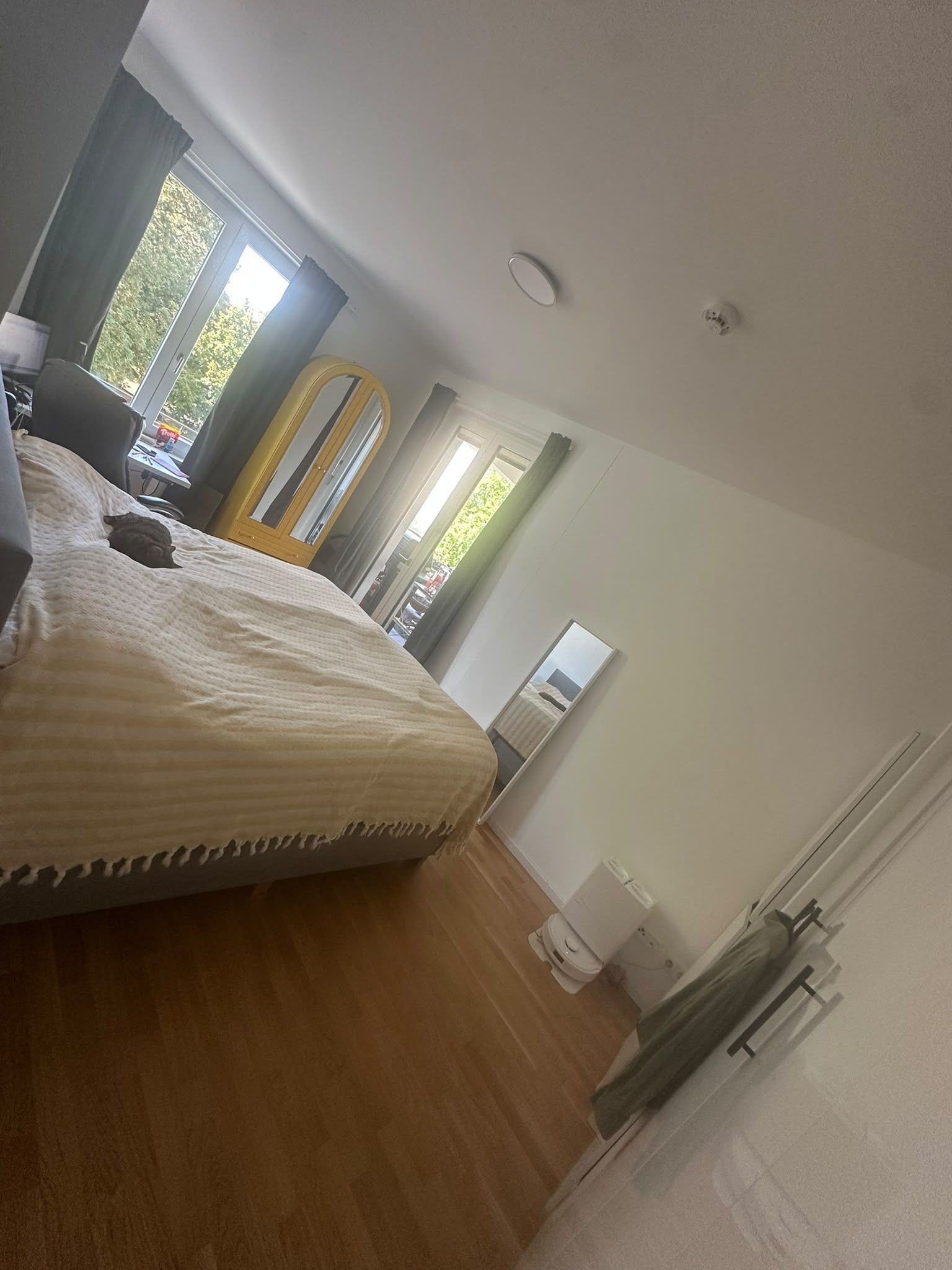 image-10