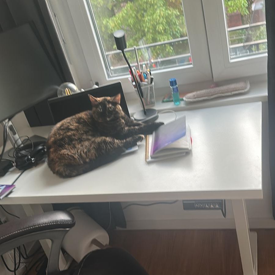 Mocha