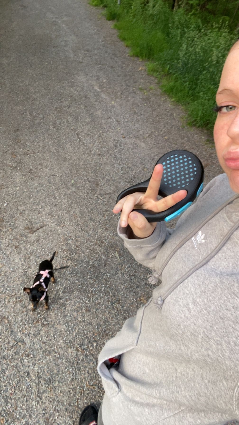 image-6