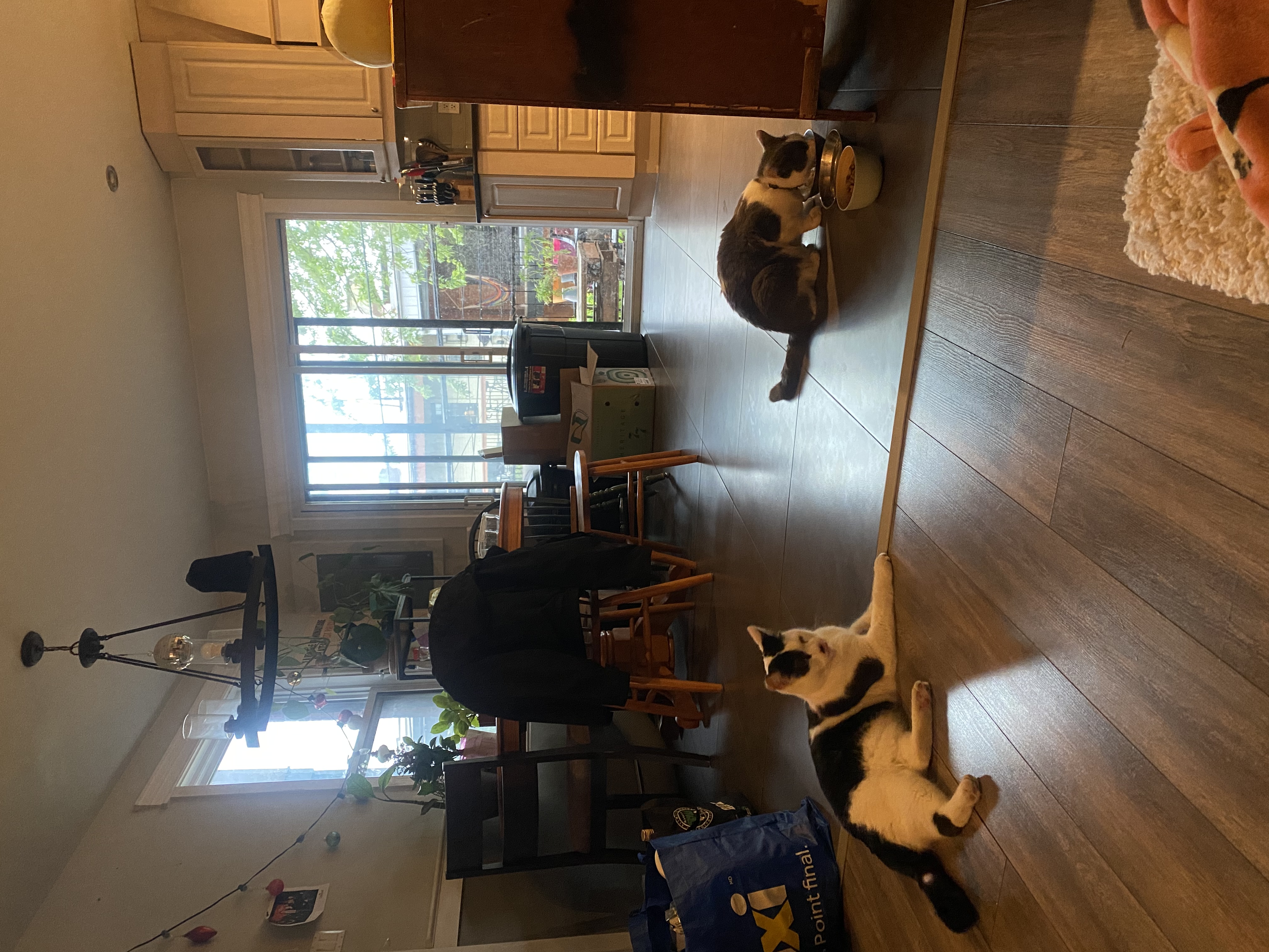 image-7