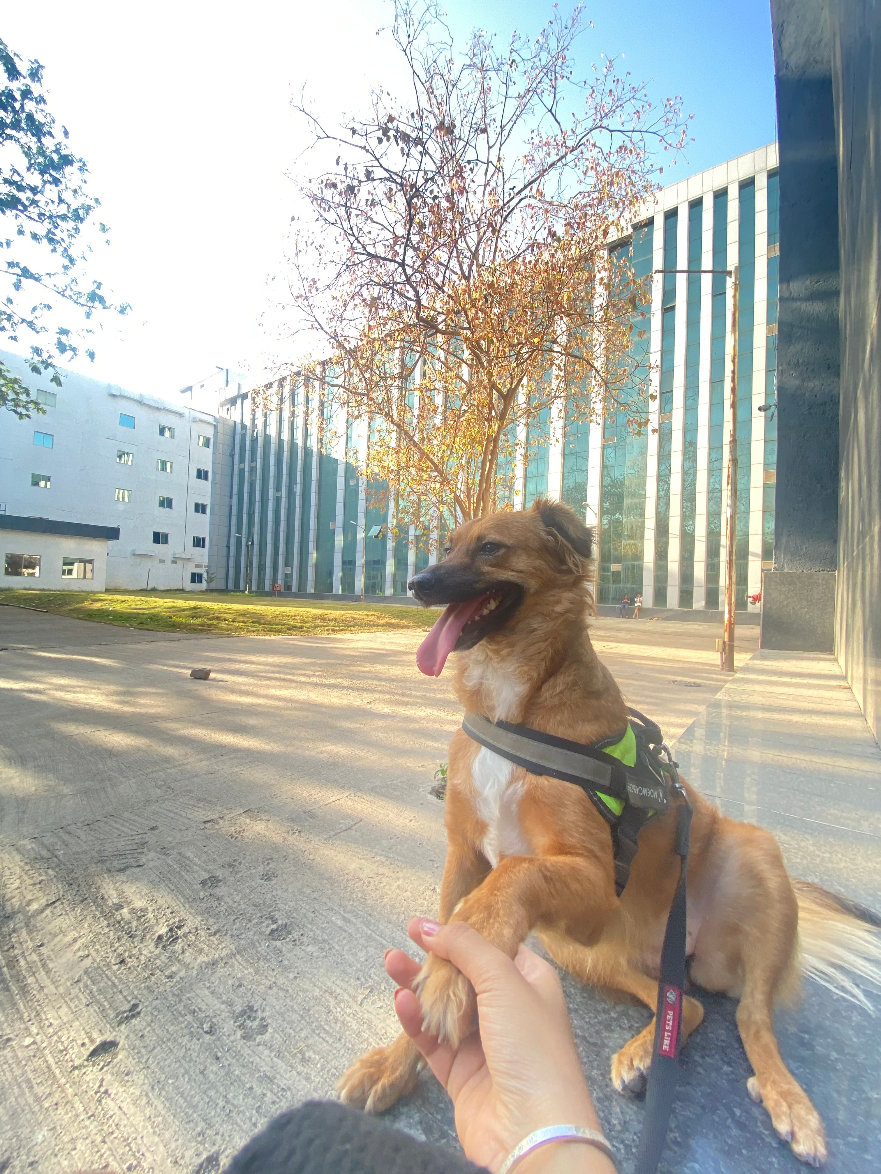 image-7