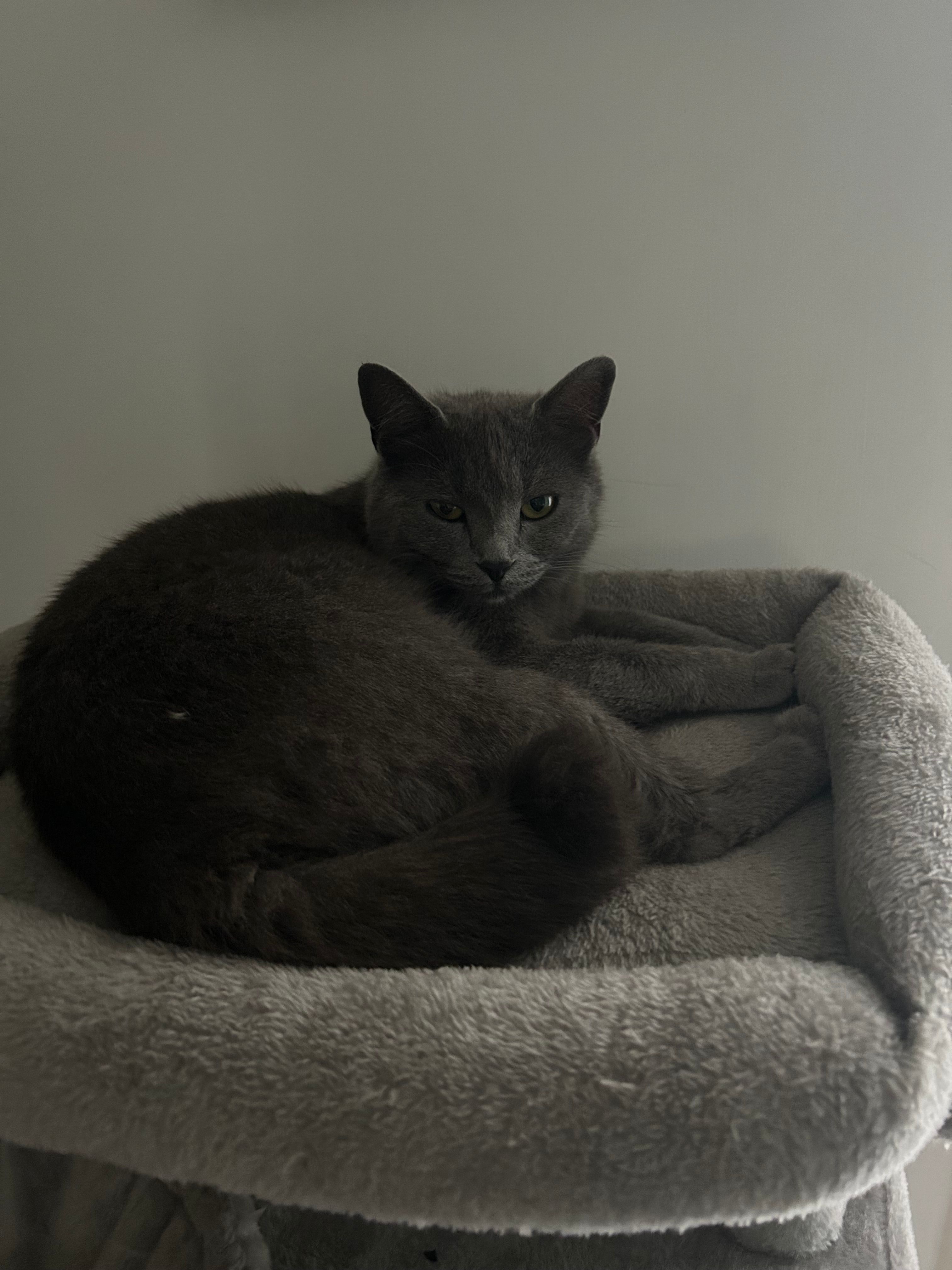 image-6