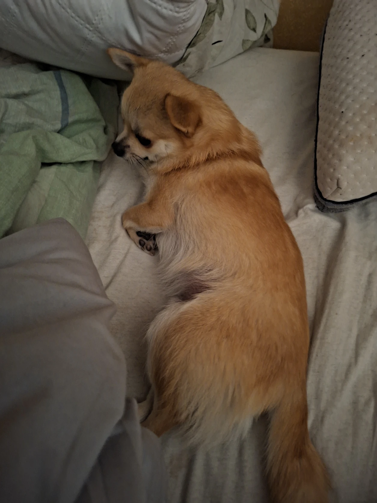 image-9