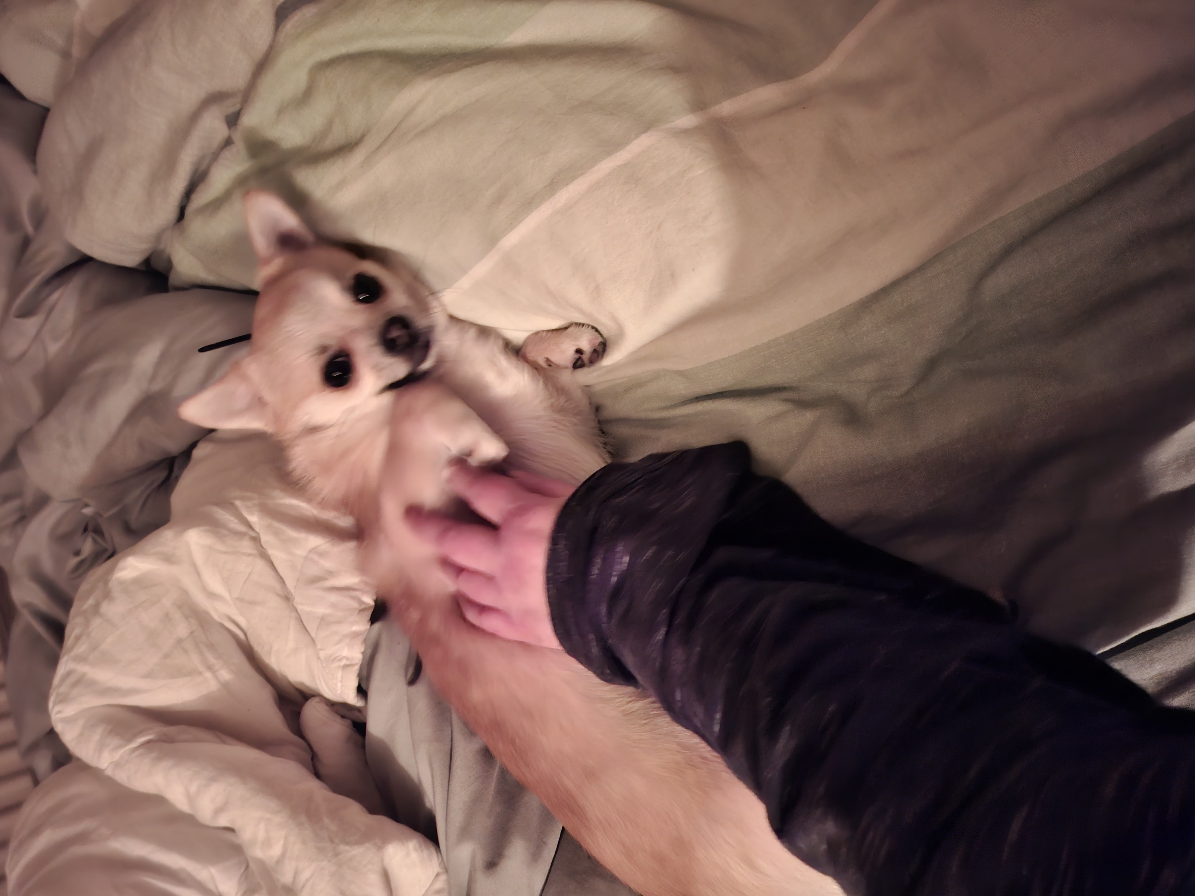 image-6