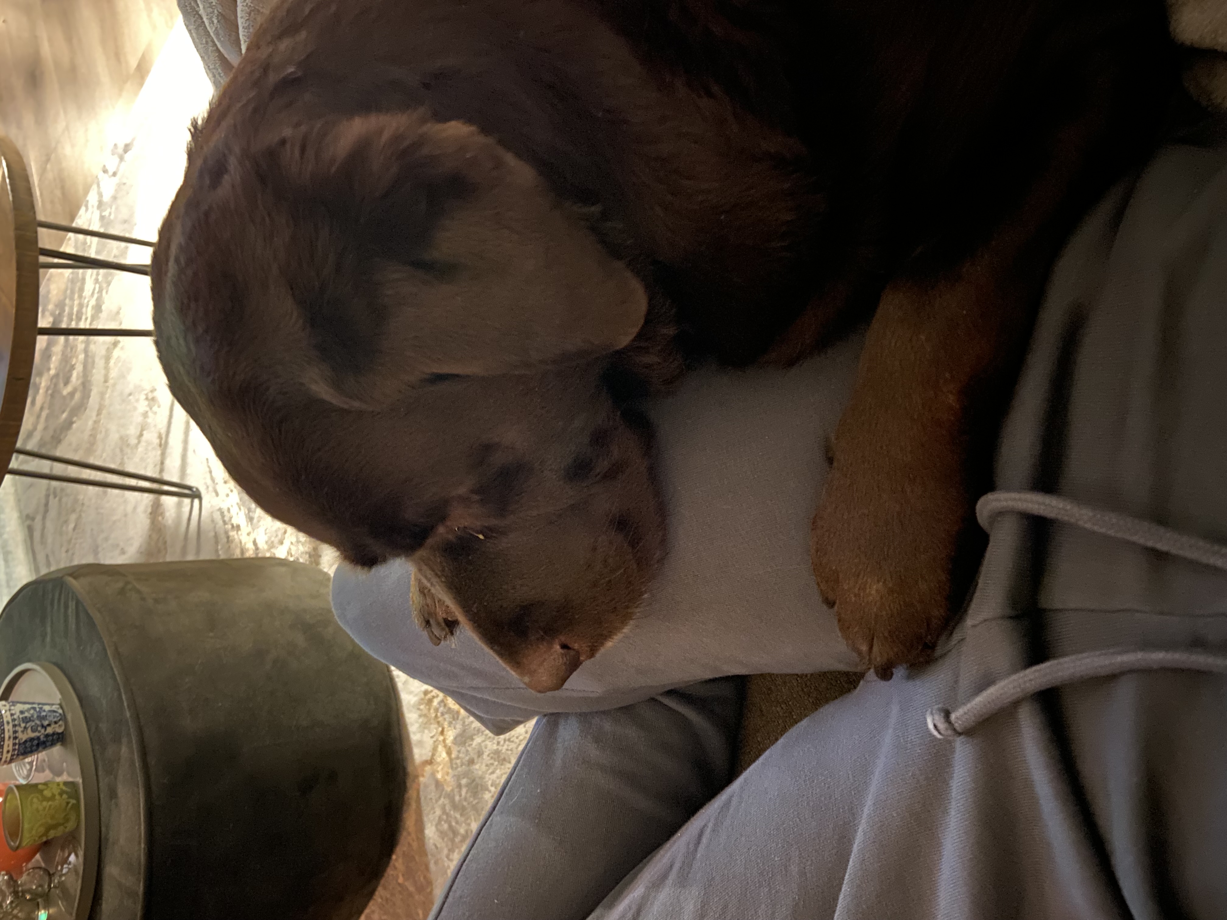 image-7