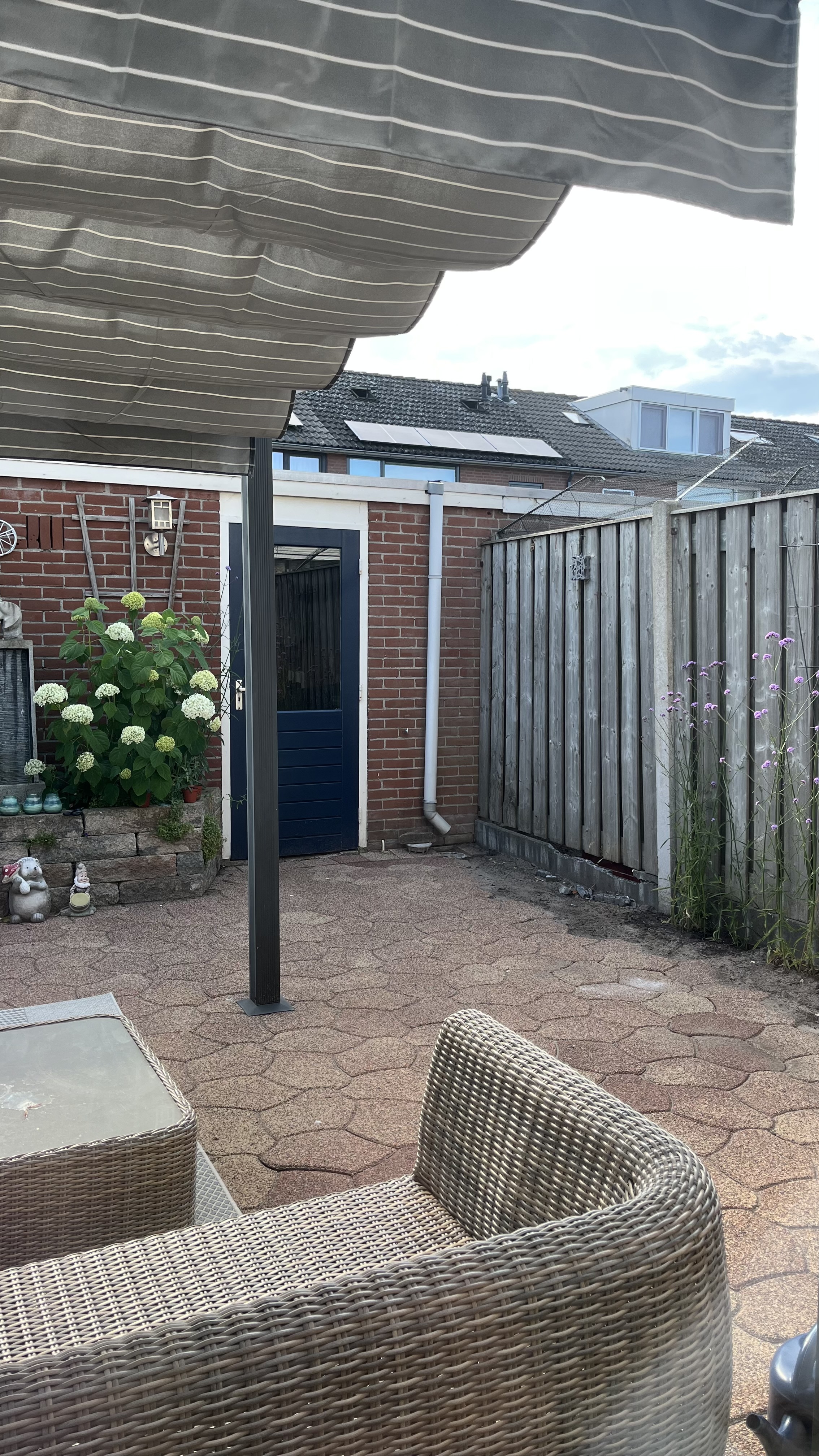 image-13