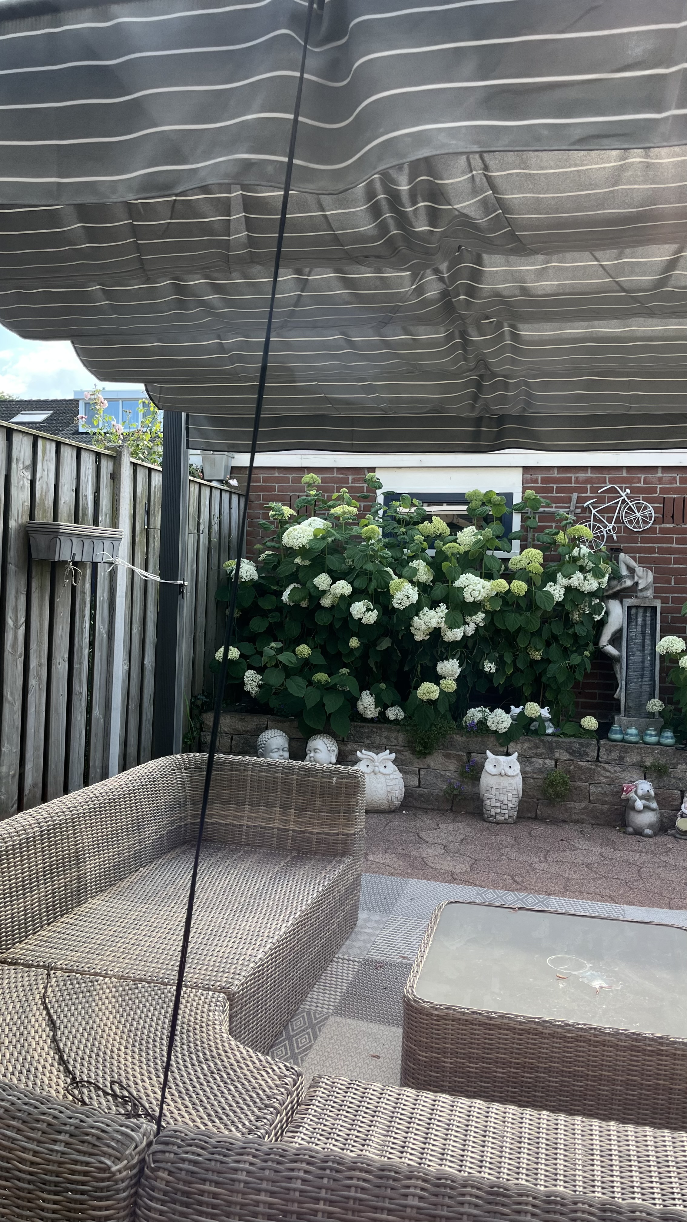 image-14