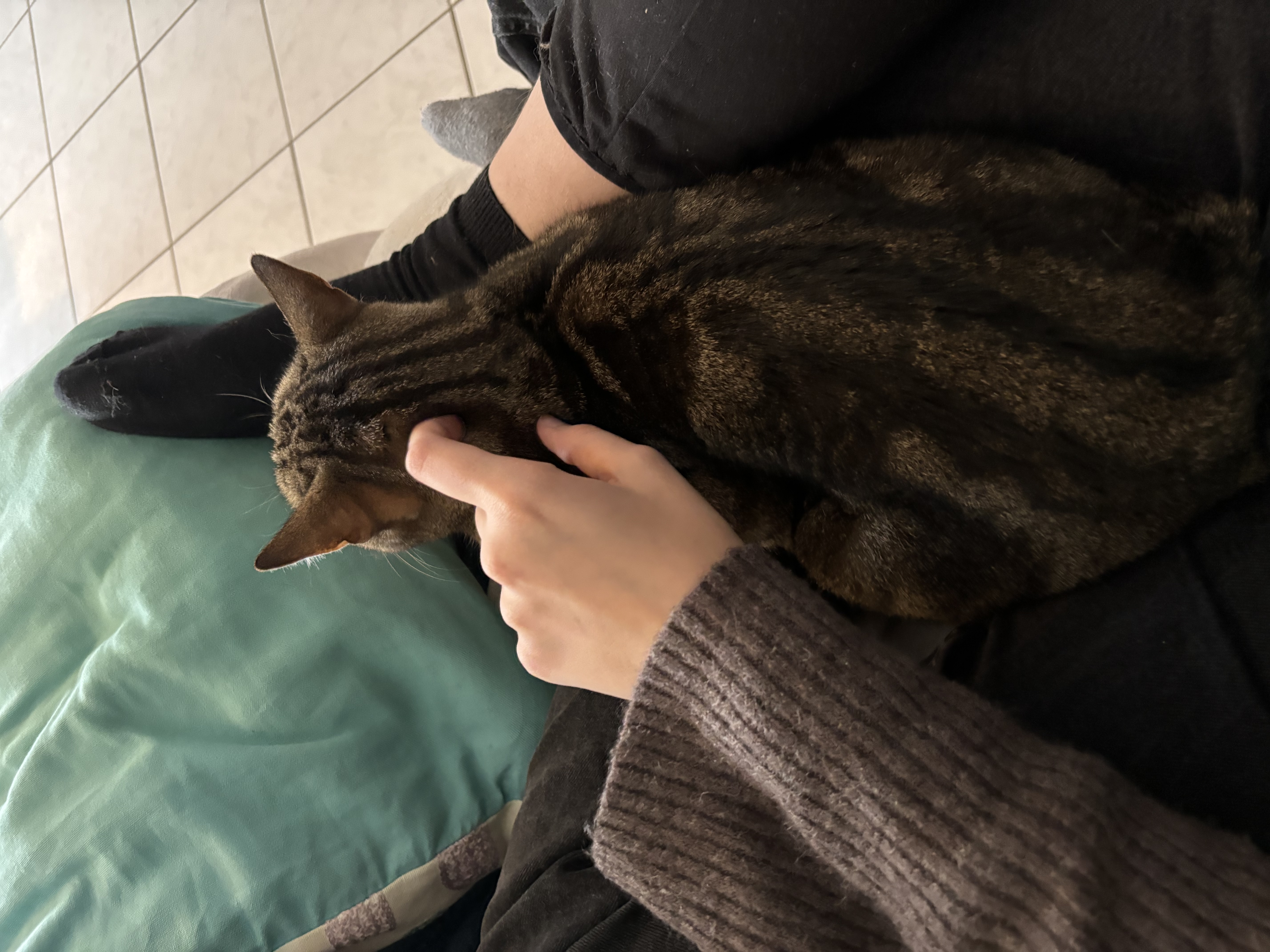 image-7