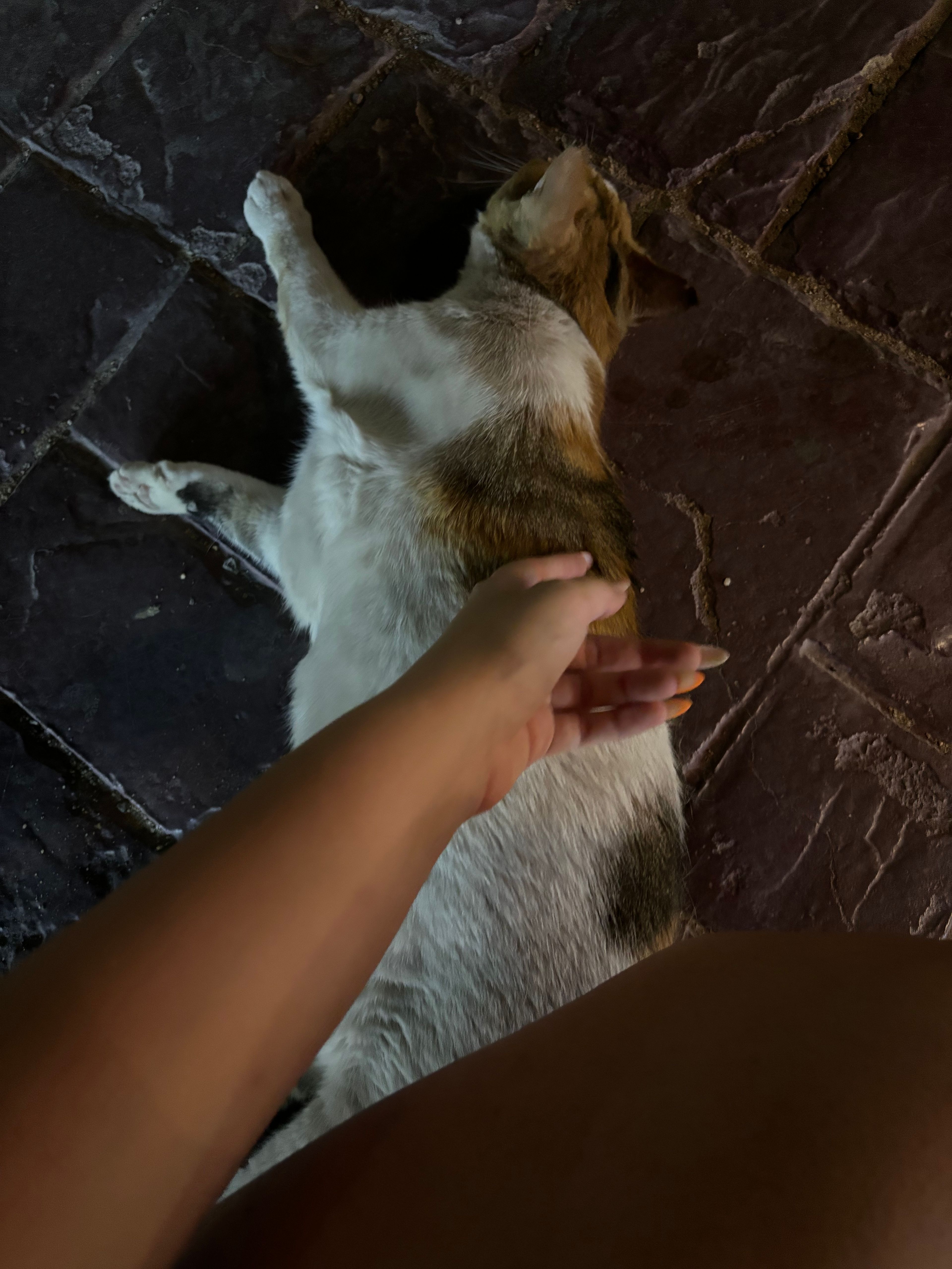 image-12